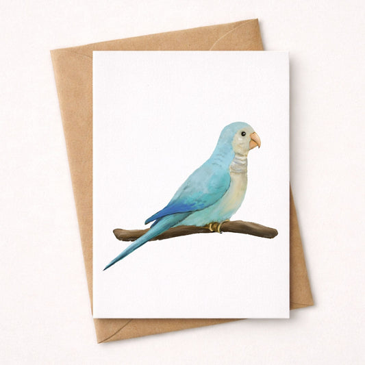 Blue Monk Parakeet Postcard - MerikaArt