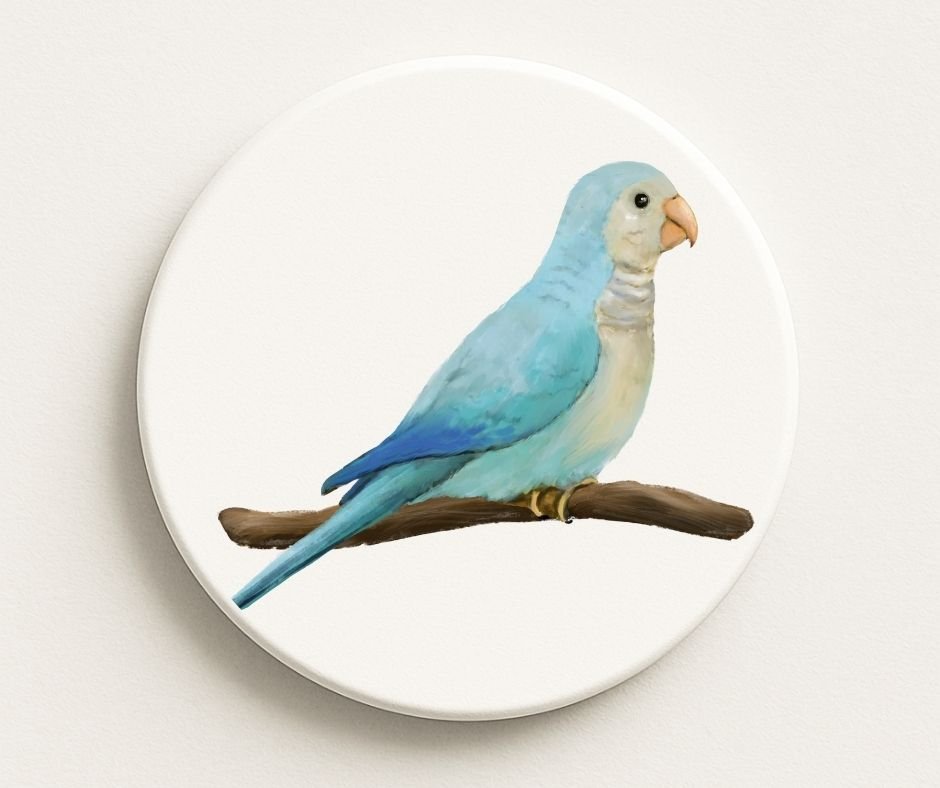 Blue Parrotlet Ceramic Coaster - MerikaArt