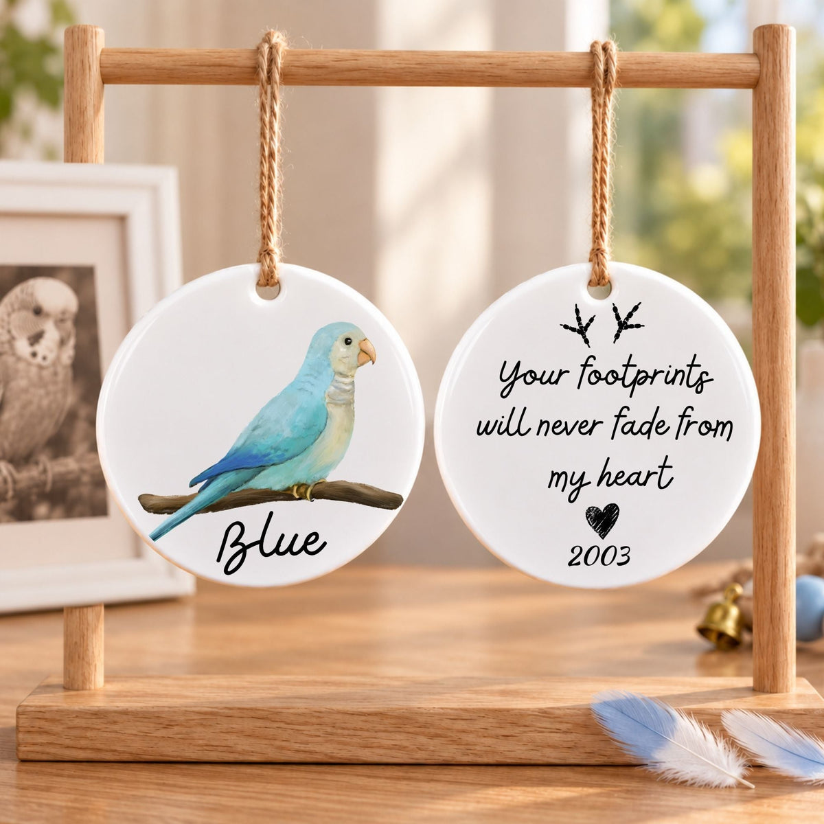 Blue Quaker Parrot Ceramic Ornament - MerikaArt