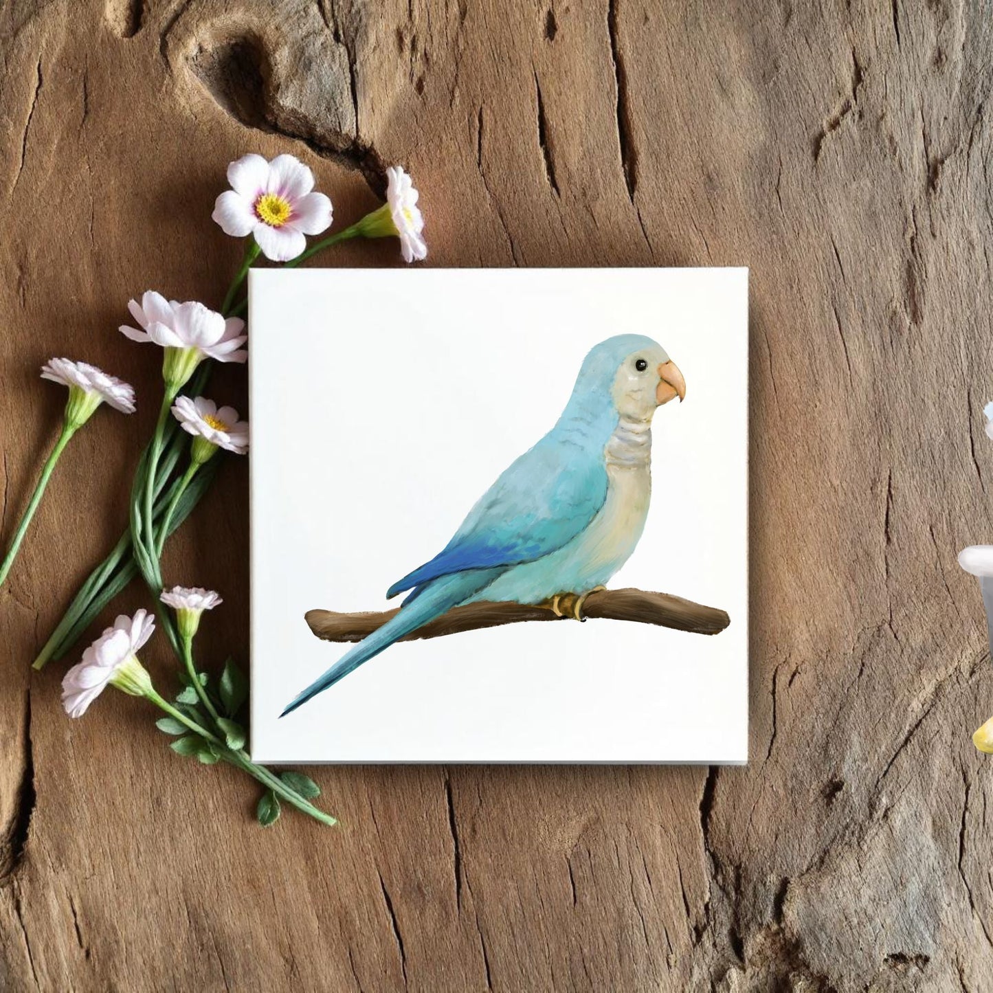 Blue Quaker Parrot Ceramic Tile - MerikaArt
