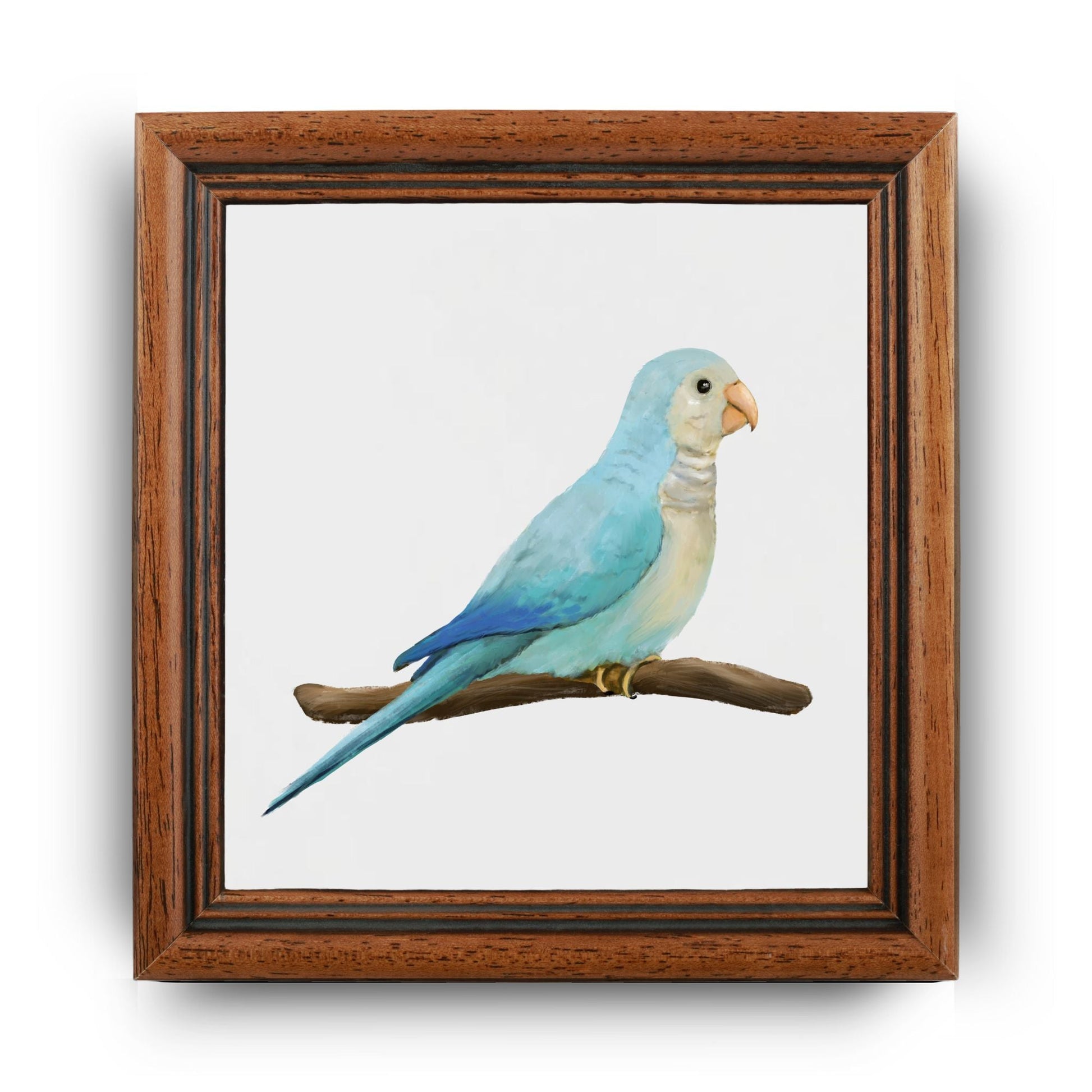 Blue Quaker Parrot Ceramic Tile - MerikaArt