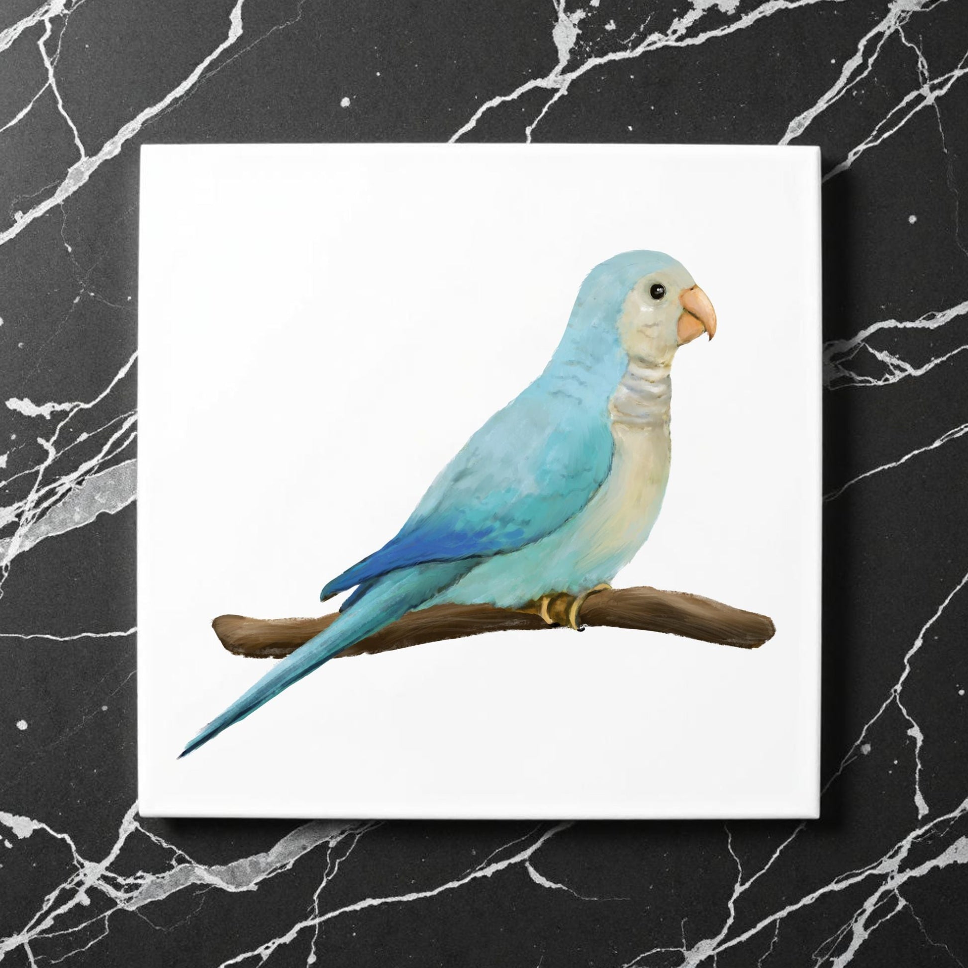 Blue Quaker Parrot Ceramic Tile - MerikaArt