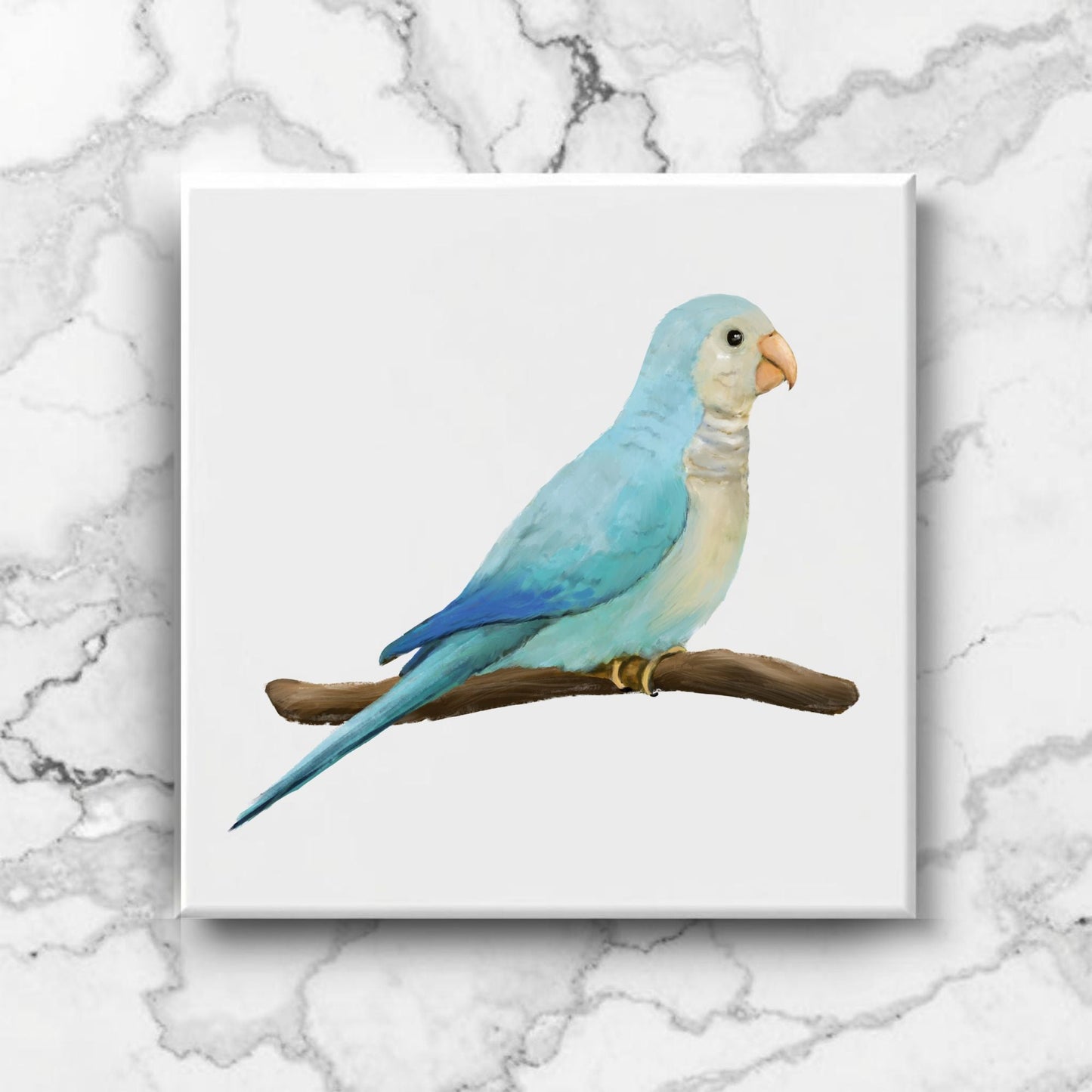 Blue Quaker Parrot Ceramic Tile - MerikaArt