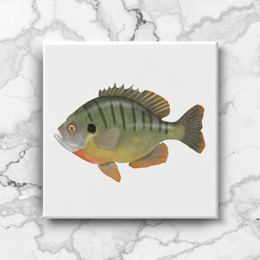 Bluegill Ceramic Tile – Handcrafted Freshwater Fish Decor - MerikaArt