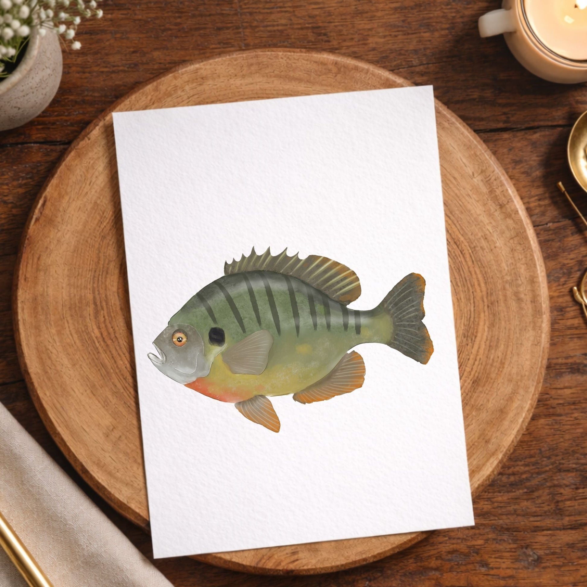 Bluegill Fish Postcard - MerikaArt