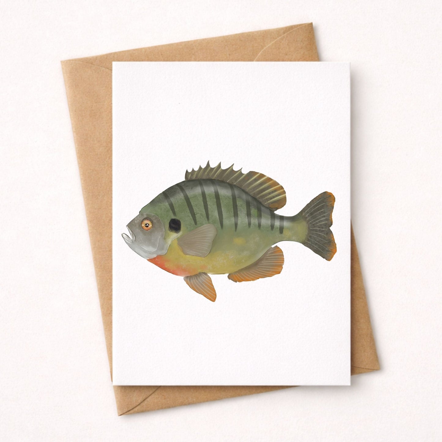 Bluegill Fish Postcard - MerikaArt