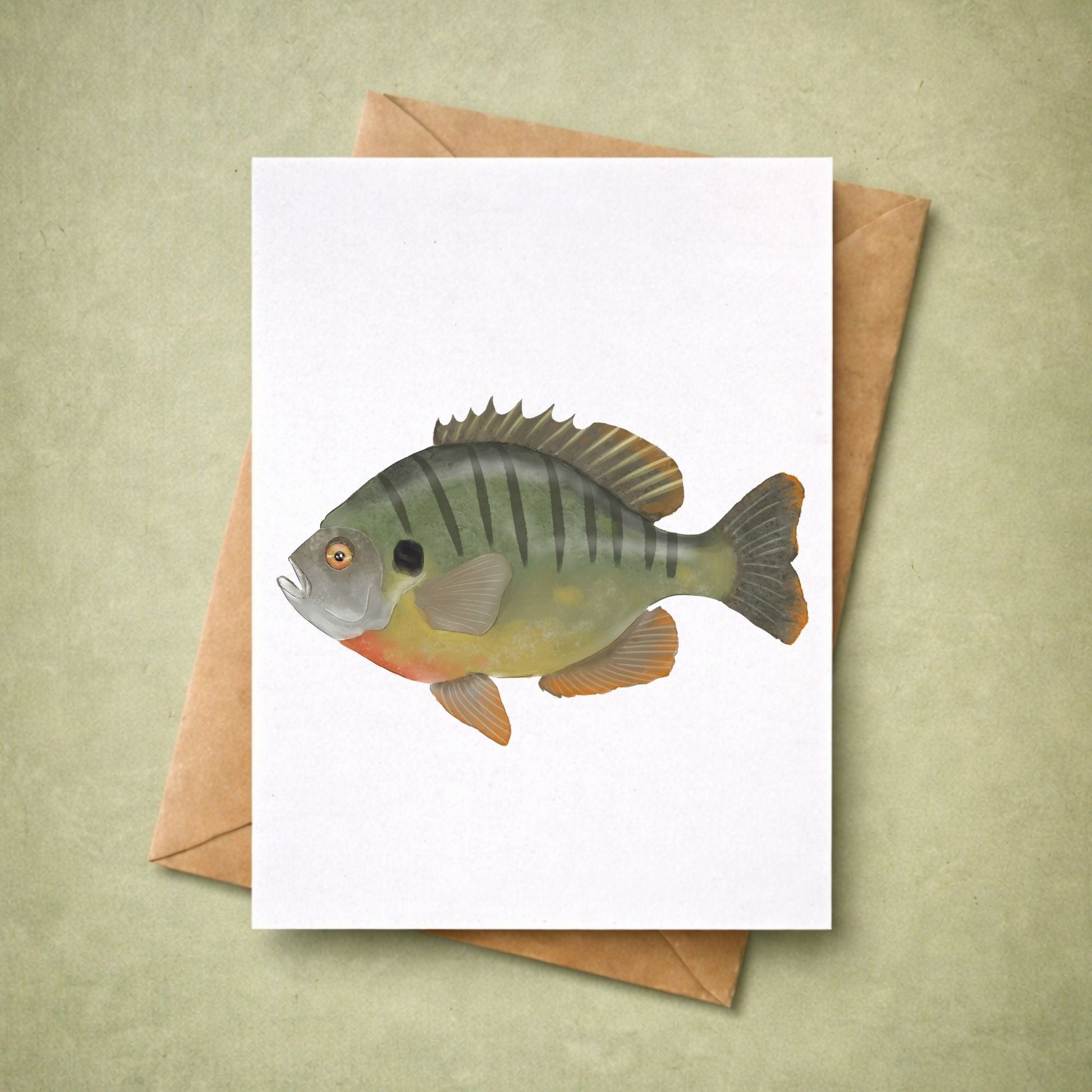 Bluegill Fish Postcard - MerikaArt