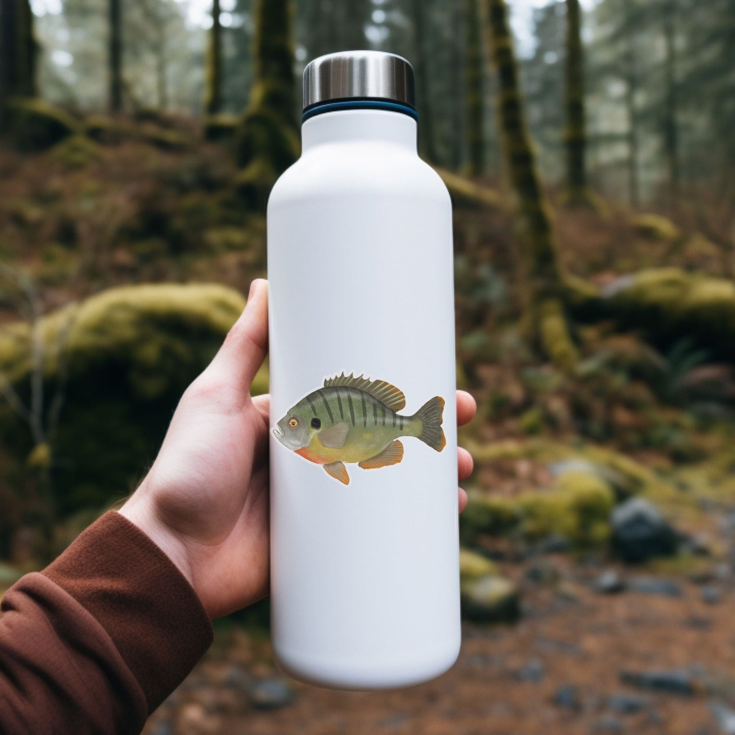 Bluegill Sunfish Vinyl Sticker - MerikaArt