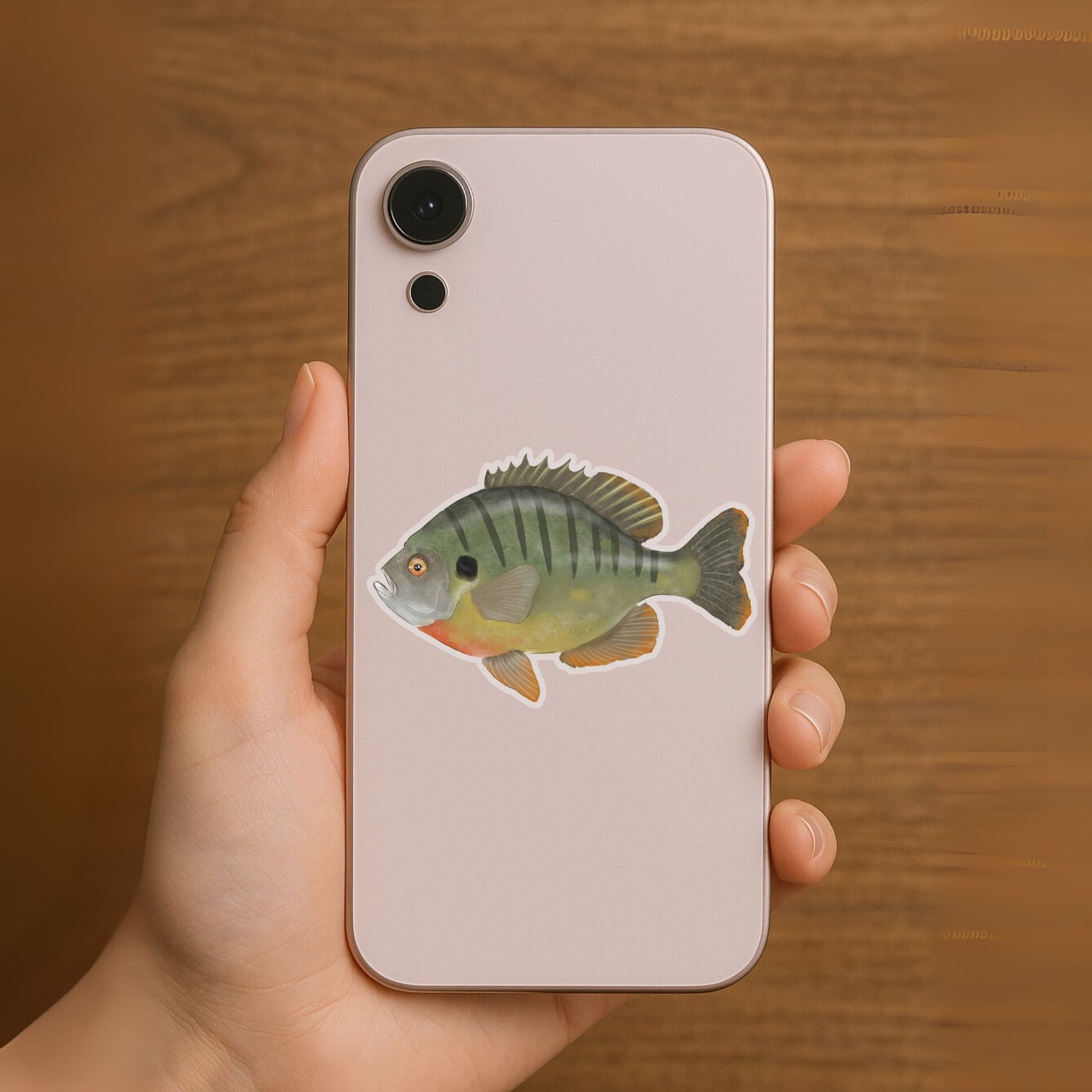 Bluegill Sunfish Vinyl Sticker - MerikaArt