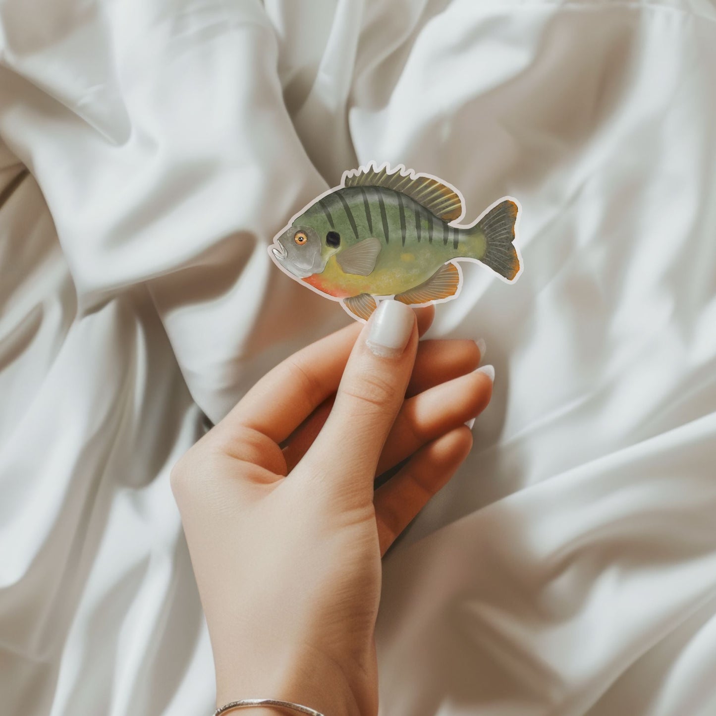 Bluegill Sunfish Vinyl Sticker - MerikaArt