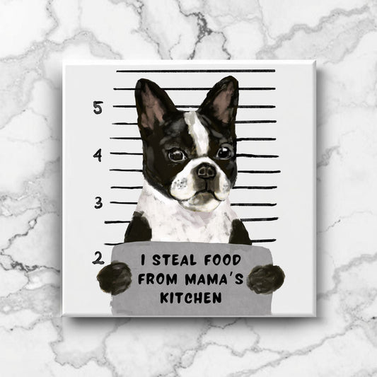 Boston Terrier Mugshot Ceramic Tile - MerikaArt