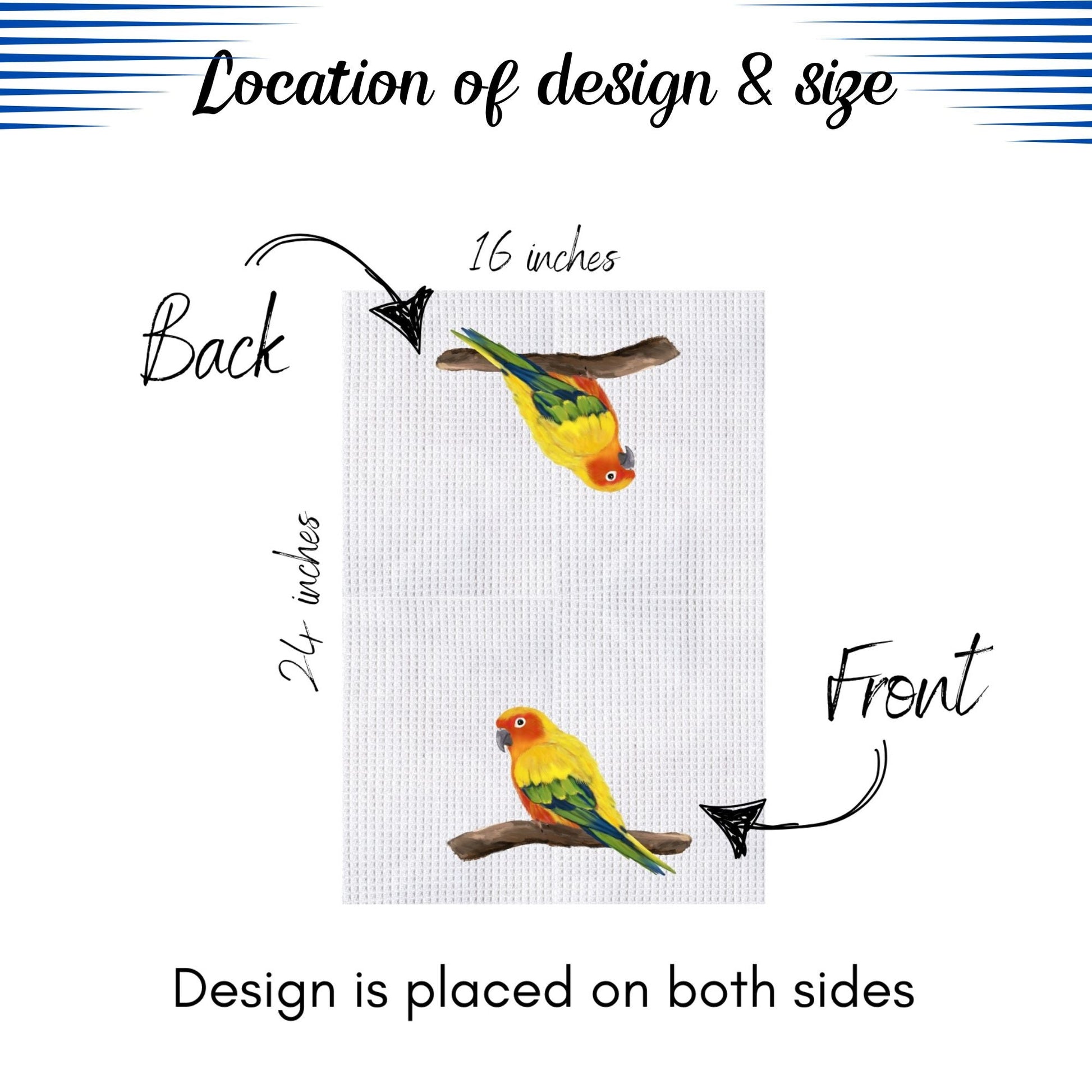 Brown - Throated Conure Kitchen Towel - MerikaArt