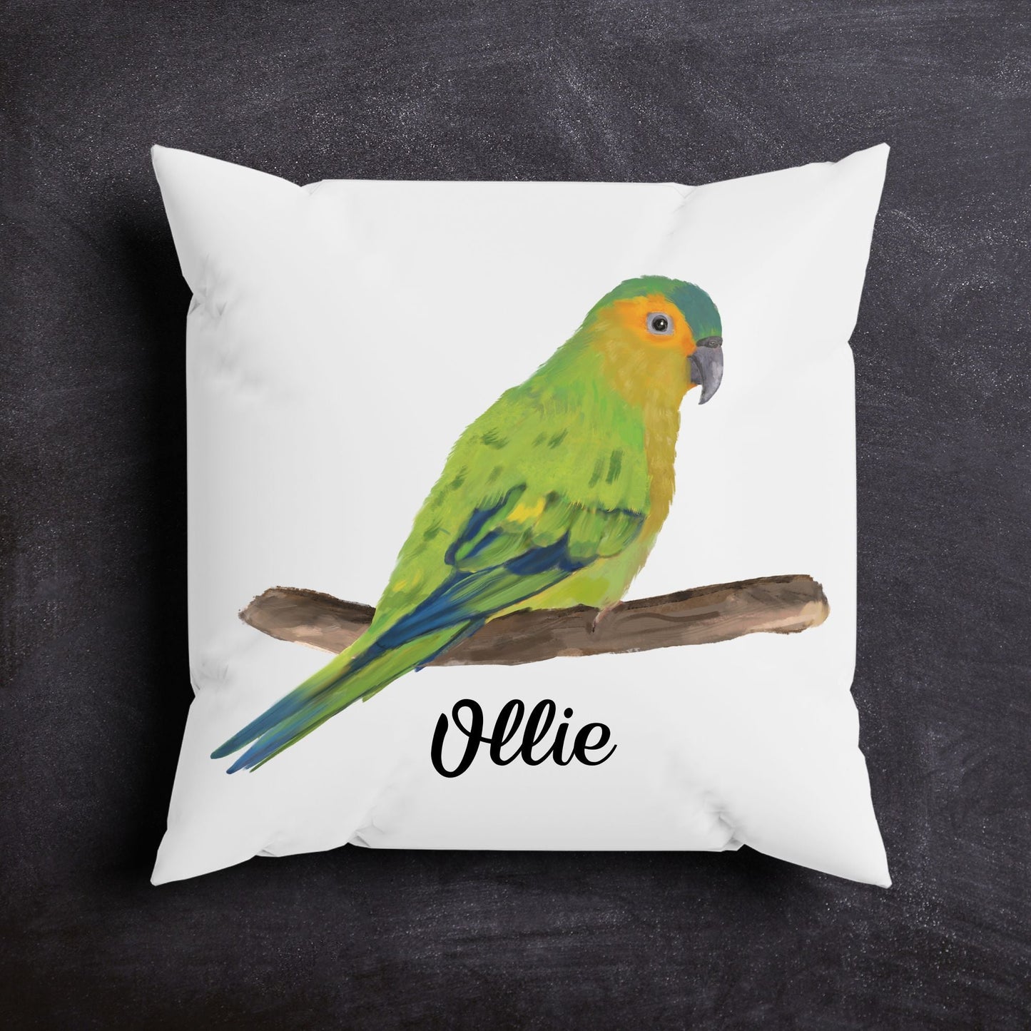 Brown Throated Conure Pillow - MerikaArt