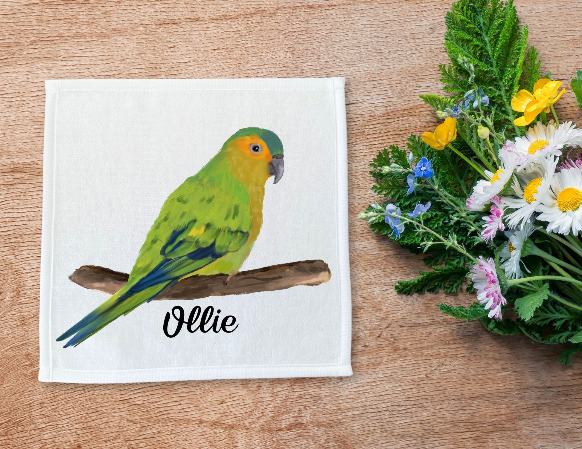 Brown - Throated Conure Washcloth - MerikaArt