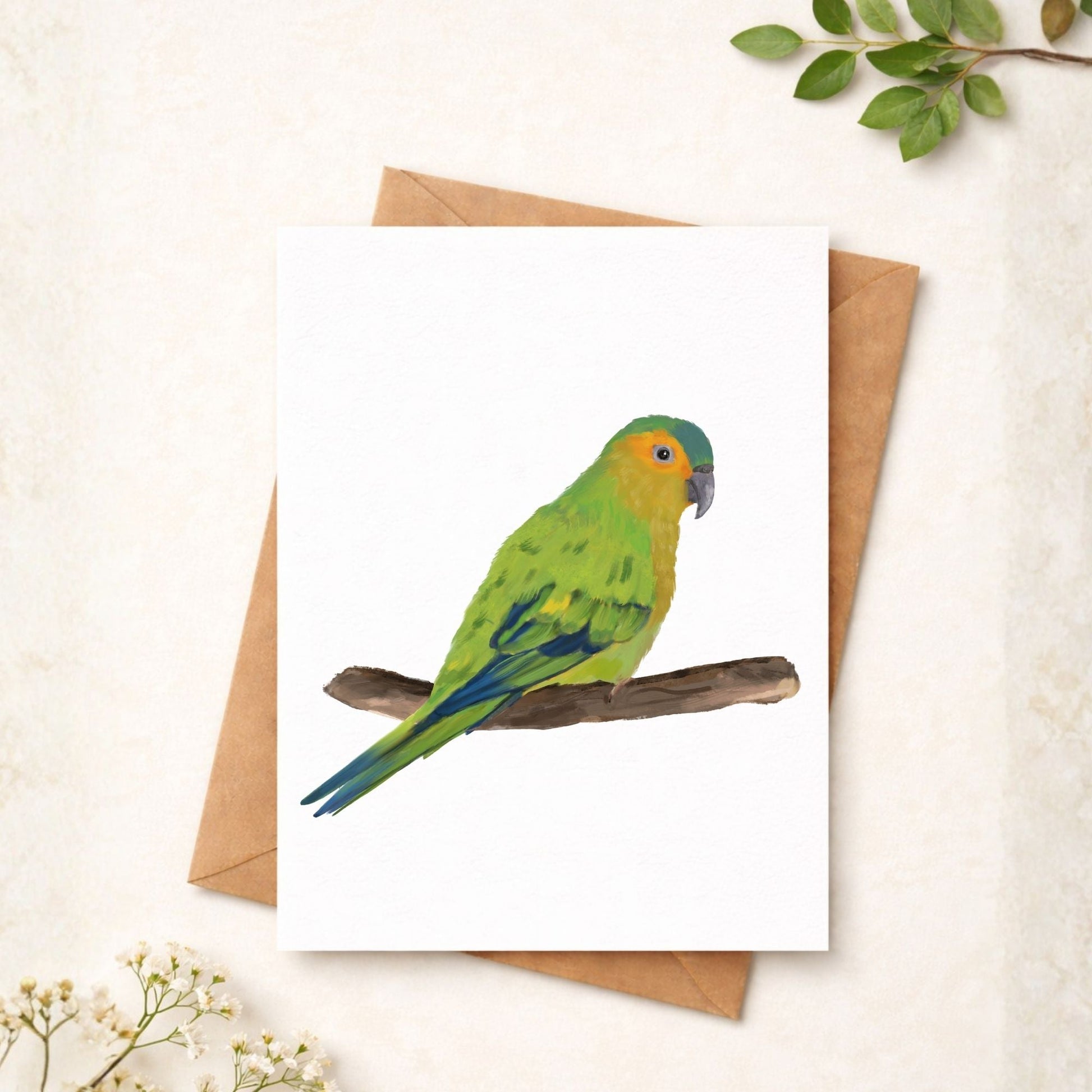 Brown - throated Parakeet Postcard - MerikaArt