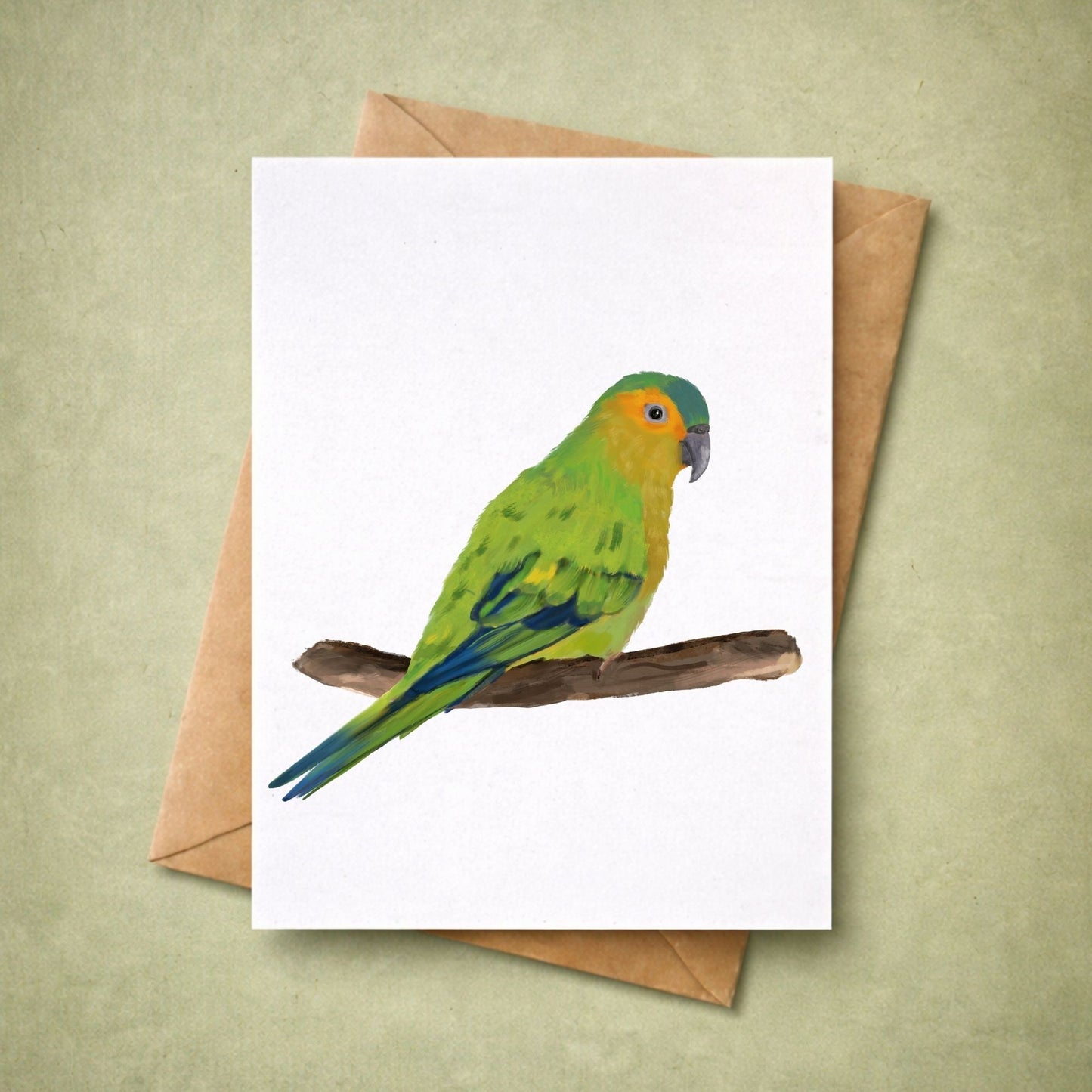 Brown - throated Parakeet Postcard - MerikaArt