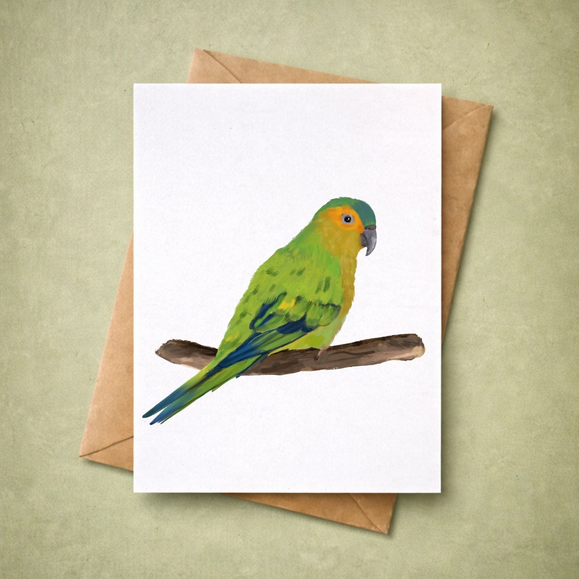 Brown - throated Parakeet Postcard - MerikaArt