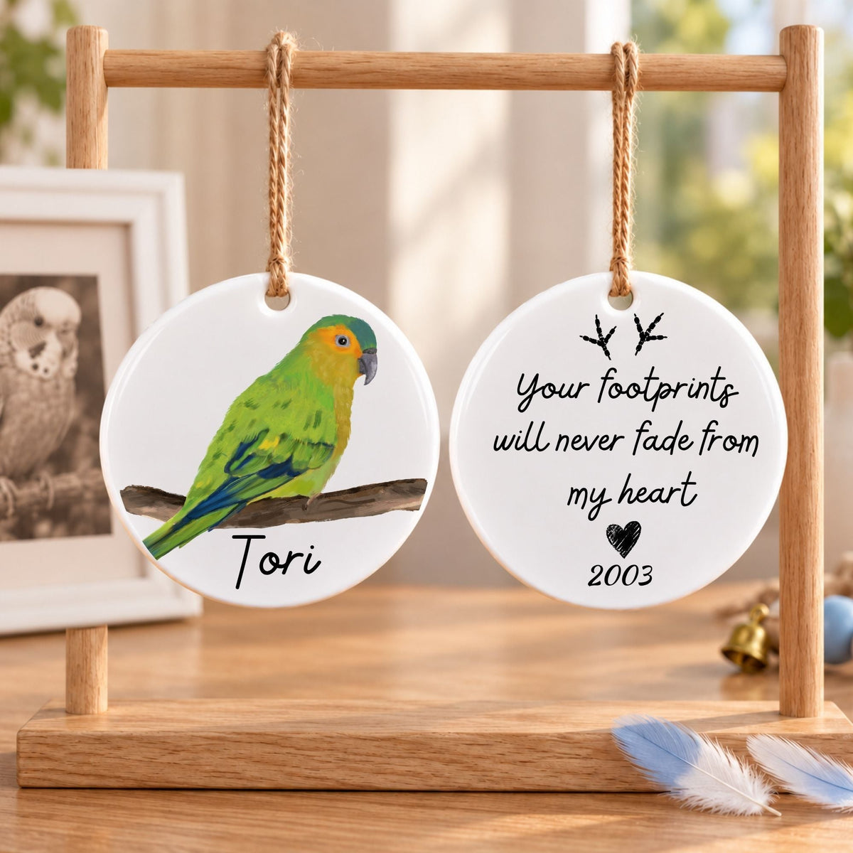 Brown Throated Parrot Ceramic Ornament - MerikaArt