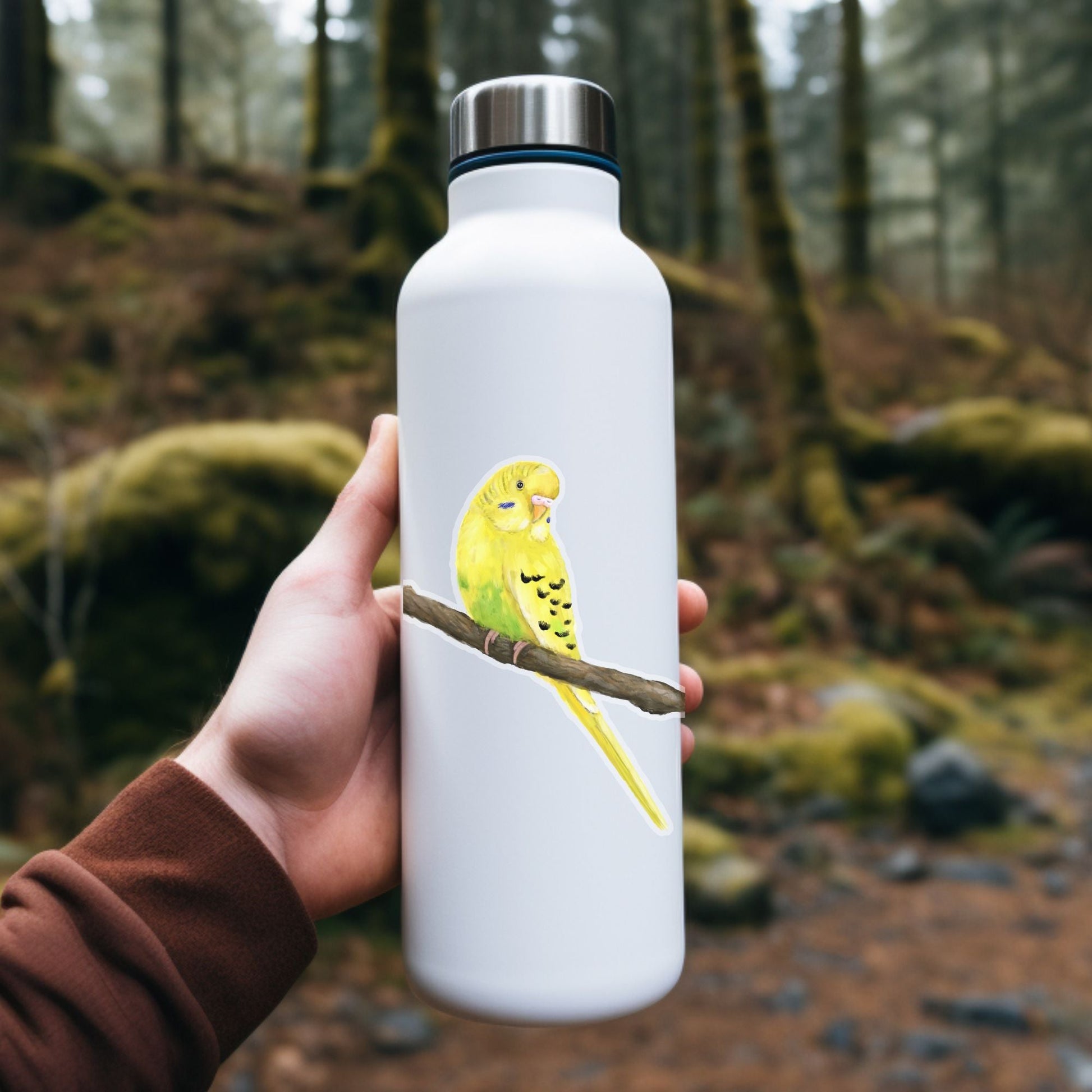 Budgerigar Parakeet Sticker - MerikaArt