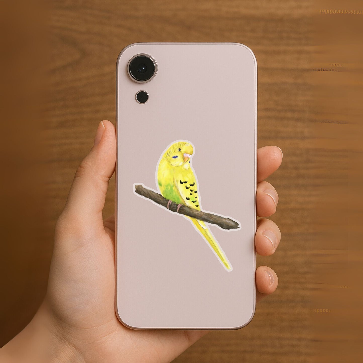 Budgerigar Parakeet Sticker - MerikaArt
