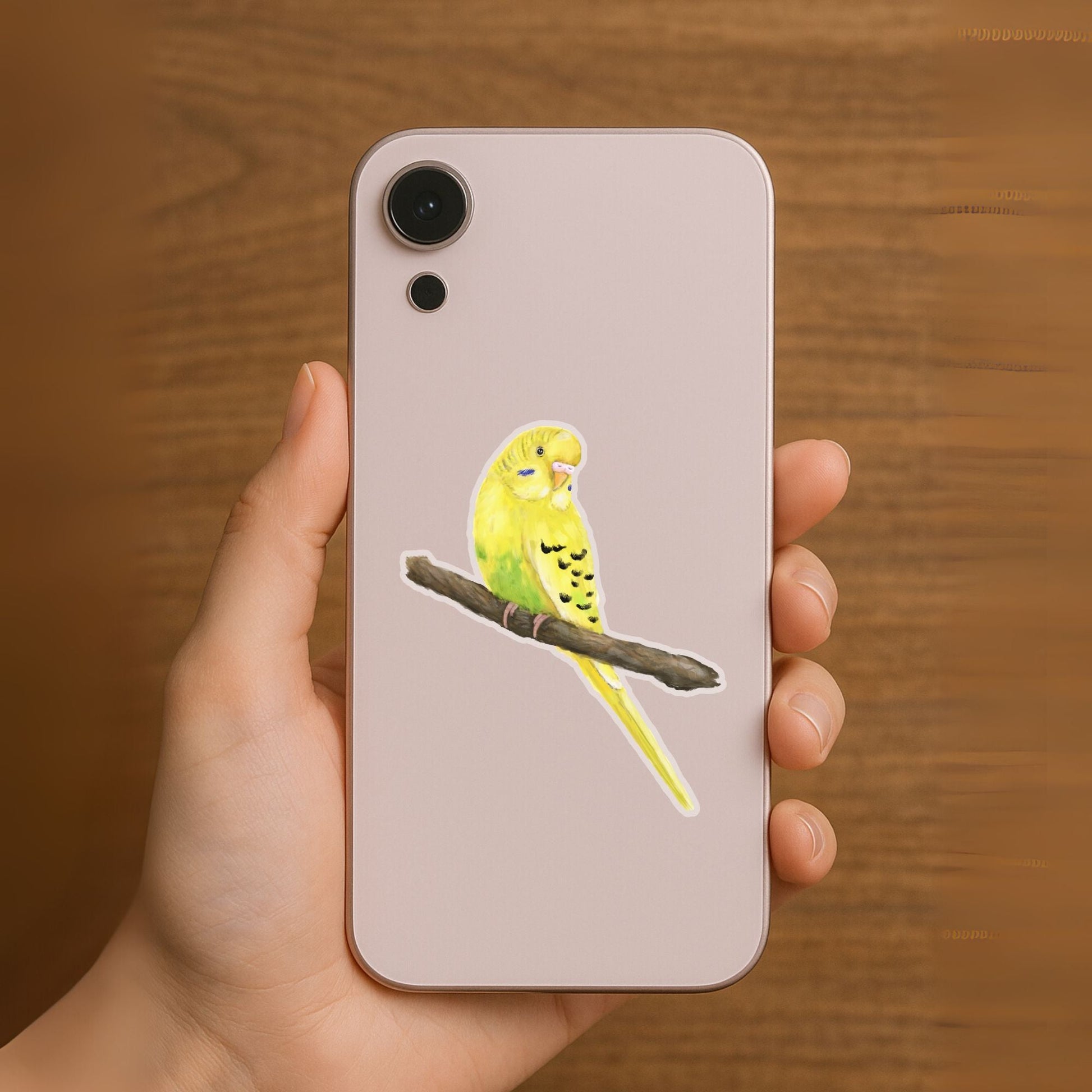 Budgerigar Parakeet Sticker - MerikaArt
