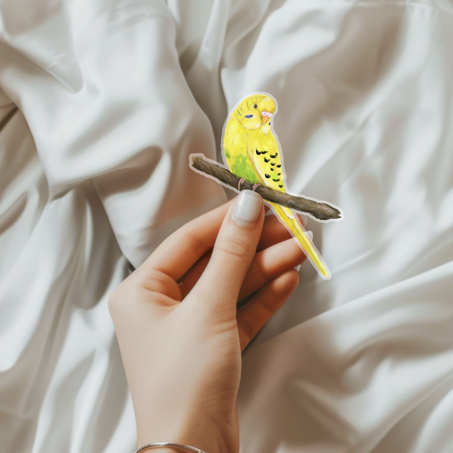 Budgerigar Parakeet Sticker - MerikaArt