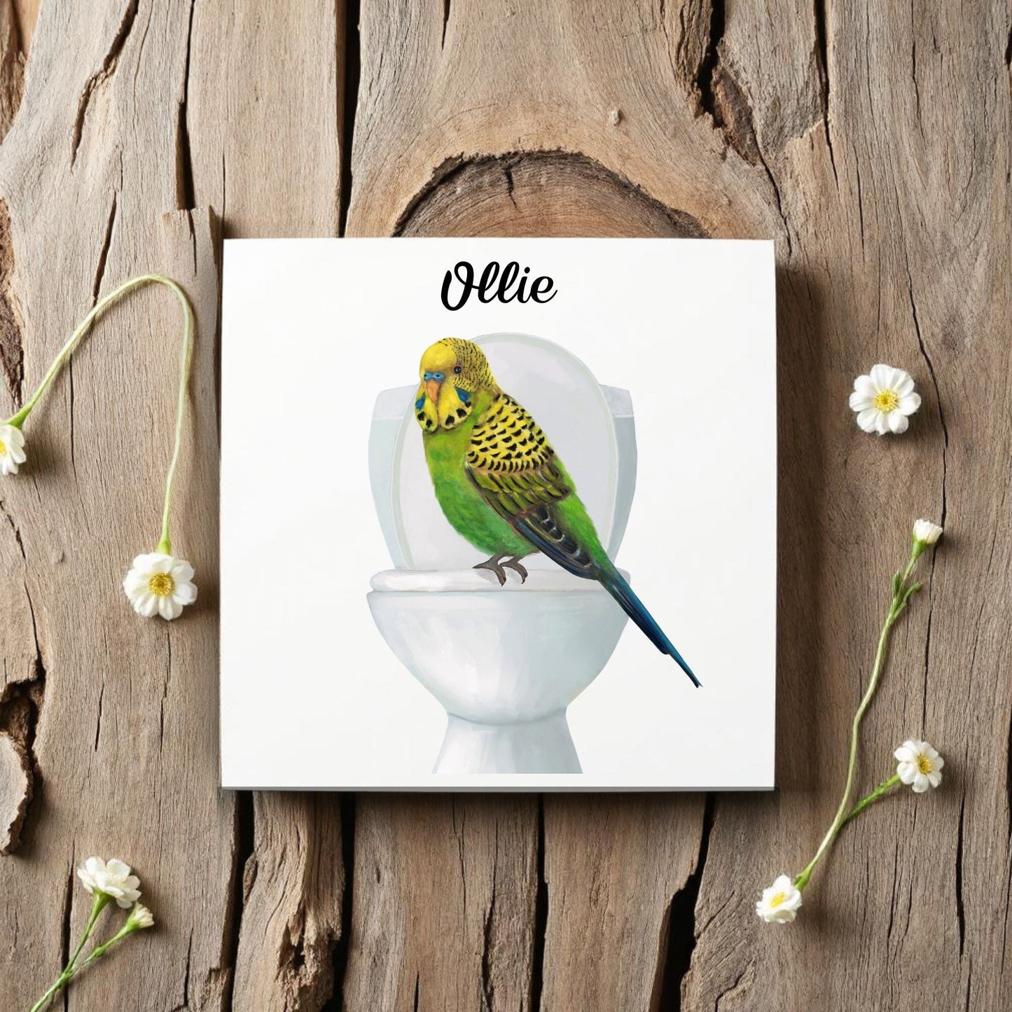 Budgie on Toilet Ceramic Tile – Handcrafted Whimsical Bird Decor - MerikaArt