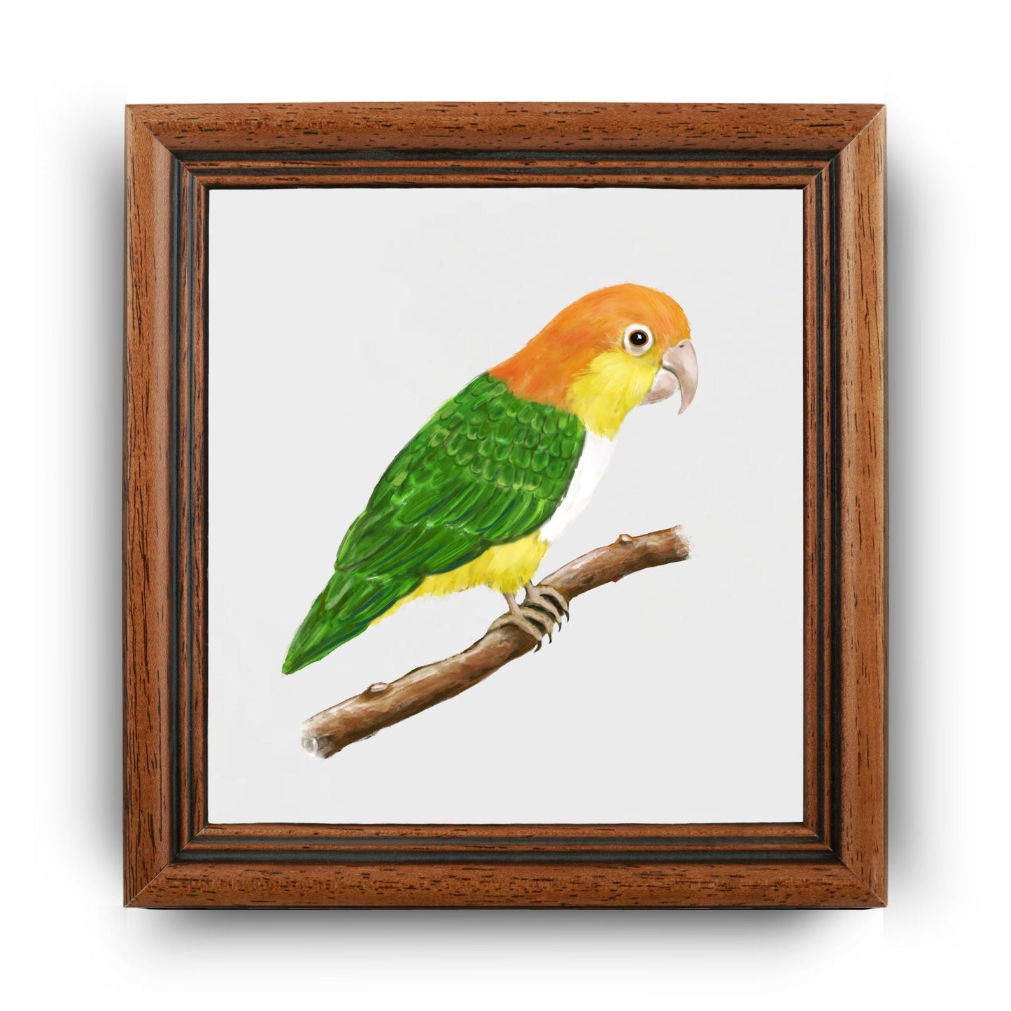 Caique Parrot Ceramic Tile – Handcrafted Bird Lover Artwork - MerikaArt