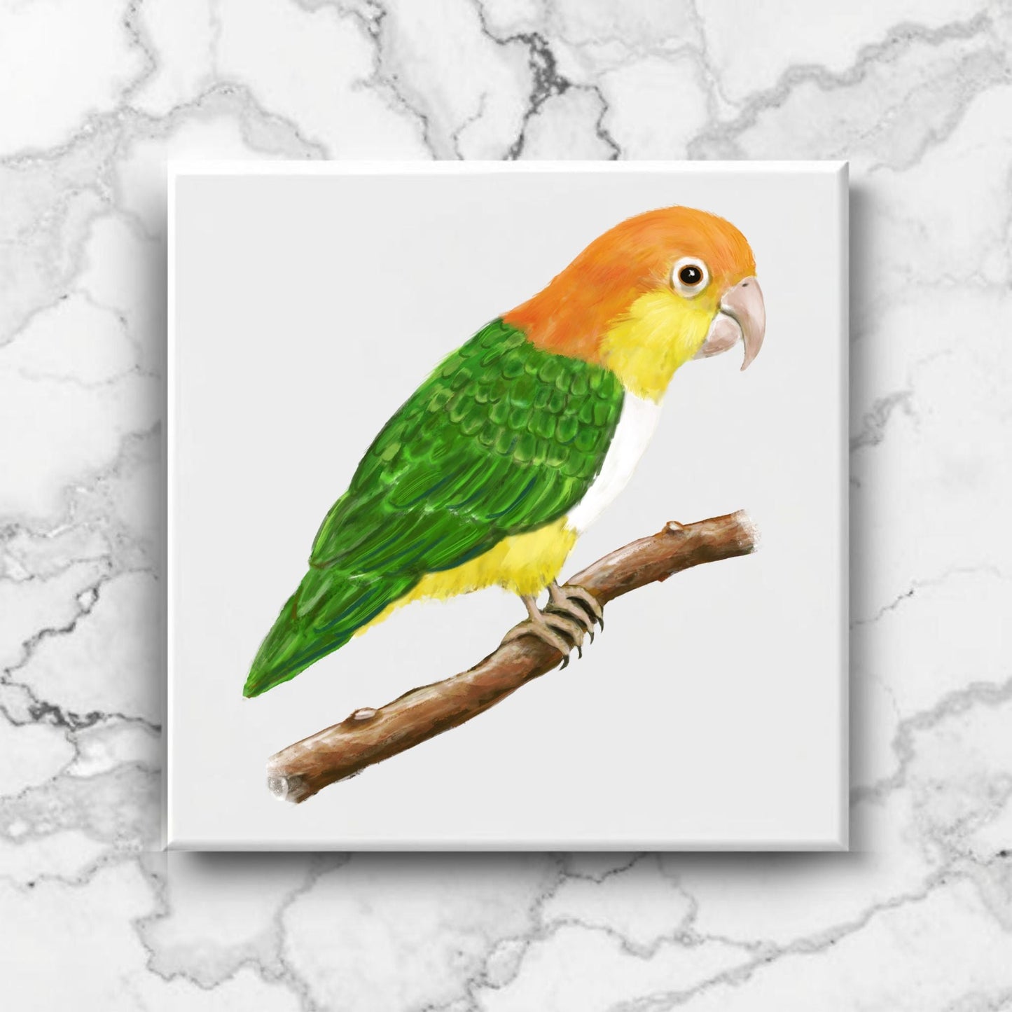 Caique Parrot Ceramic Tile – Handcrafted Bird Lover Artwork - MerikaArt