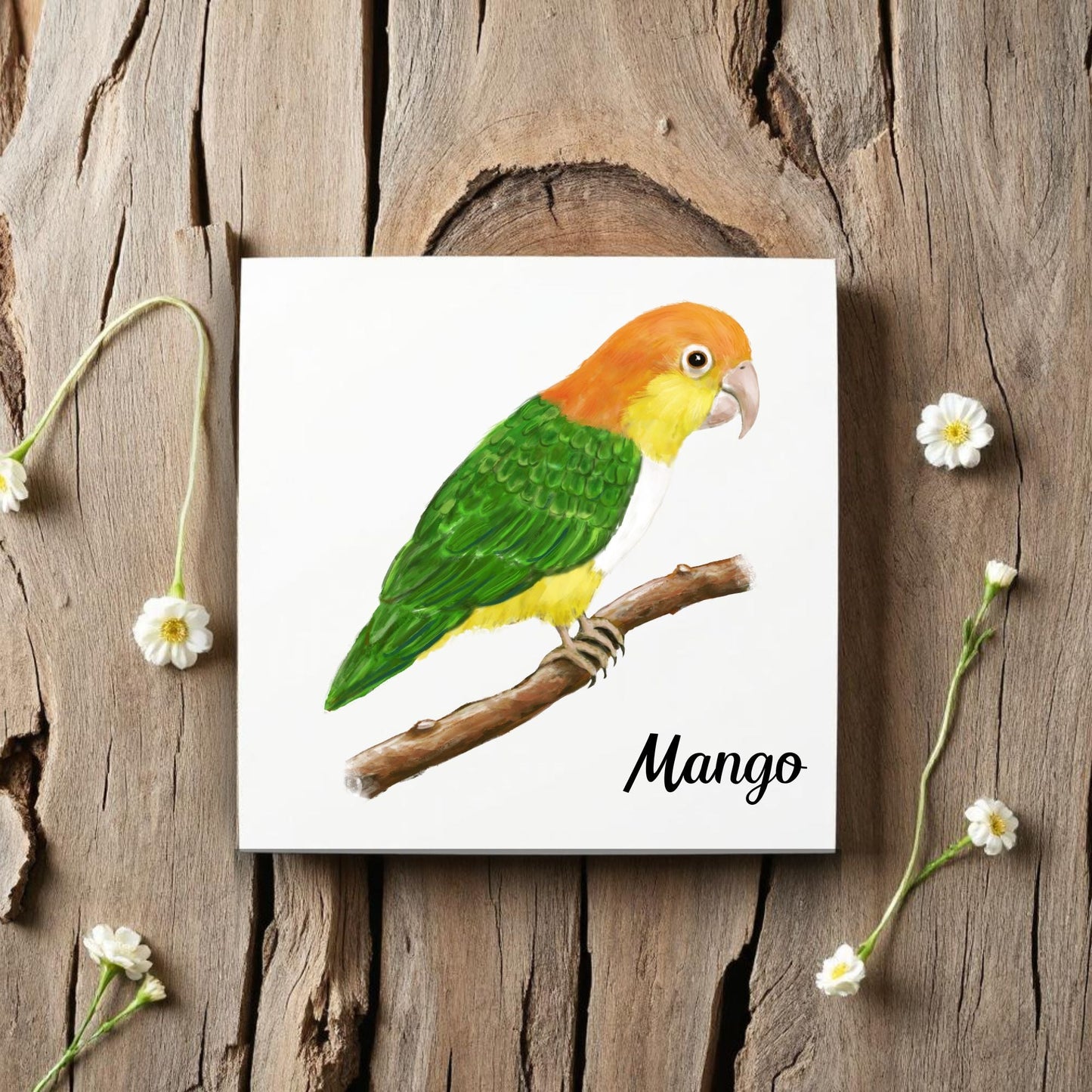 Caique Parrot Ceramic Tile – Handcrafted Bird Lover Artwork - MerikaArt