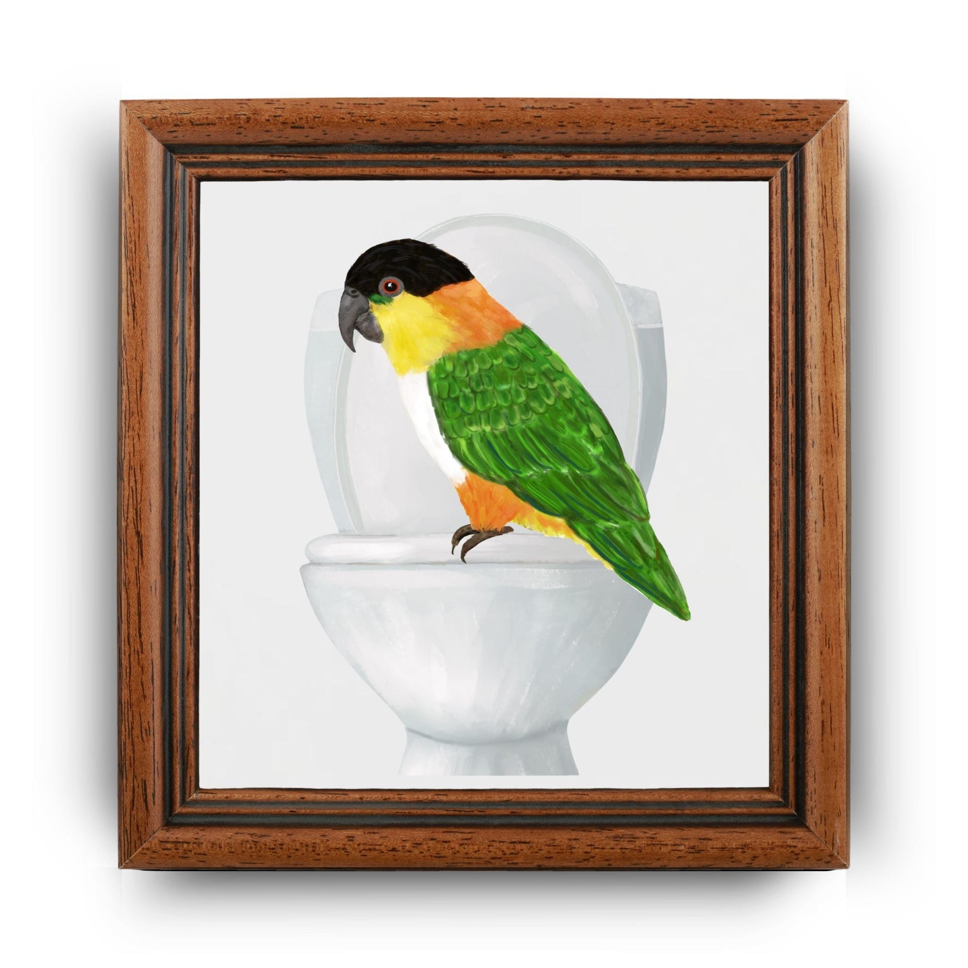 Caique Parrot on Toilet Ceramic Tile – Handcrafted Whimsical Decor - MerikaArt