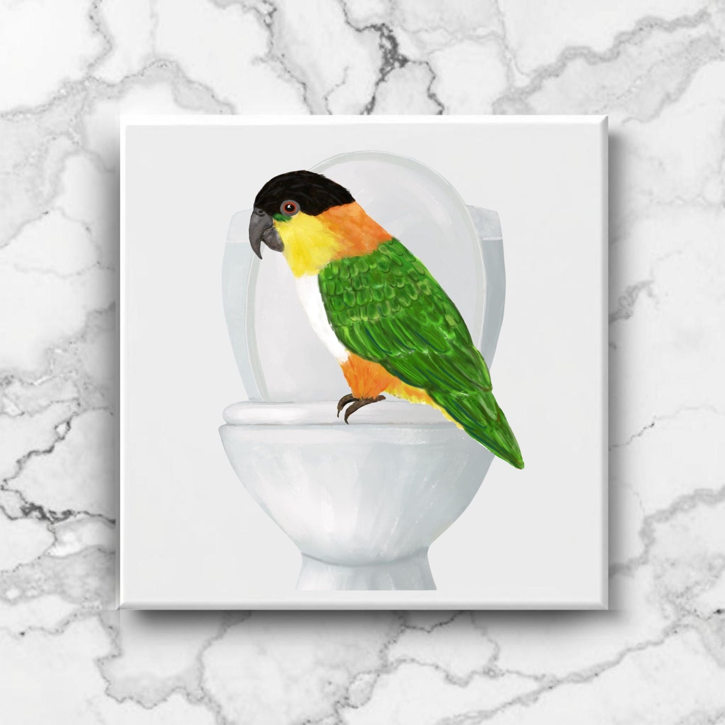 Caique Parrot on Toilet Ceramic Tile – Handcrafted Whimsical Decor - MerikaArt