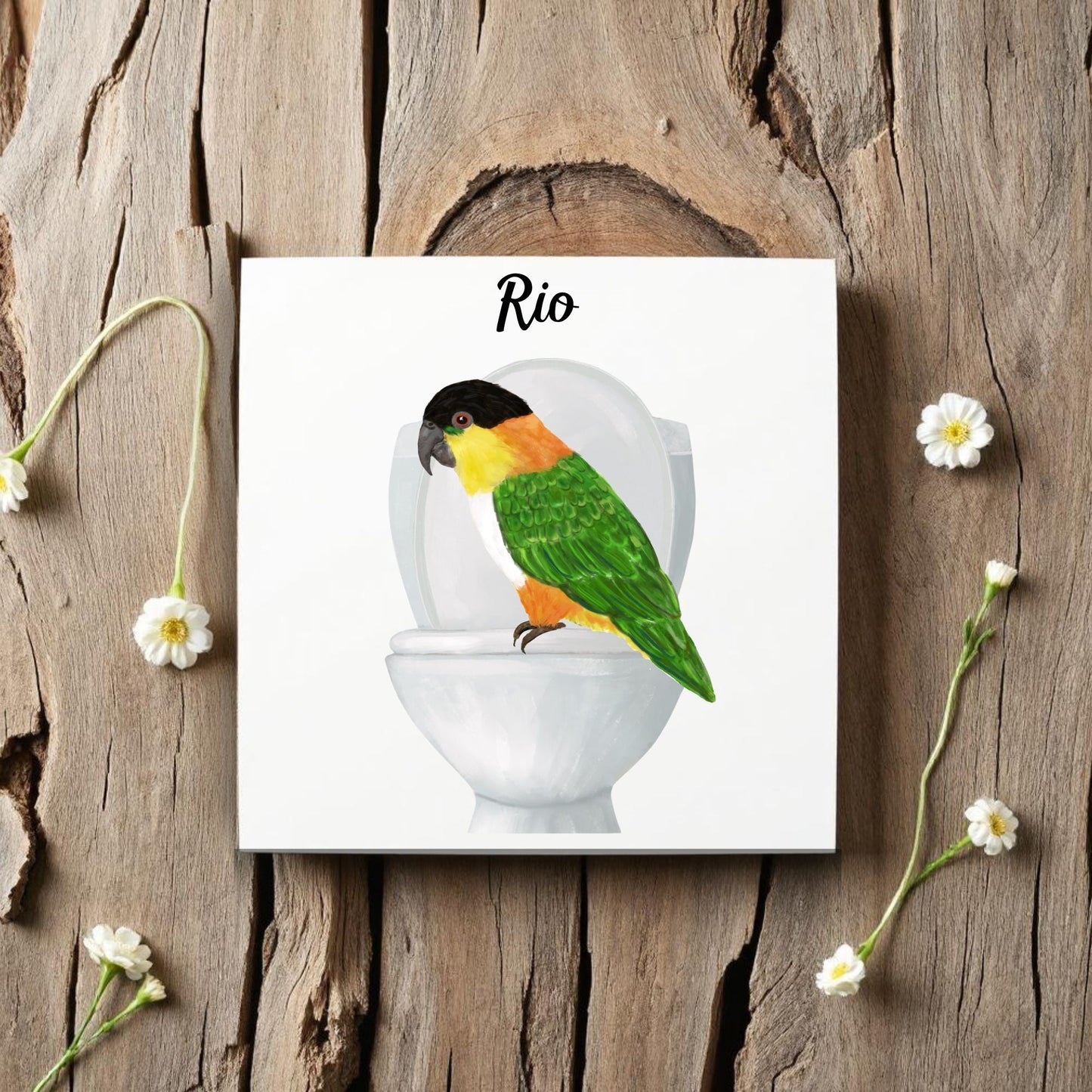 Caique Parrot on Toilet Ceramic Tile – Handcrafted Whimsical Decor - MerikaArt