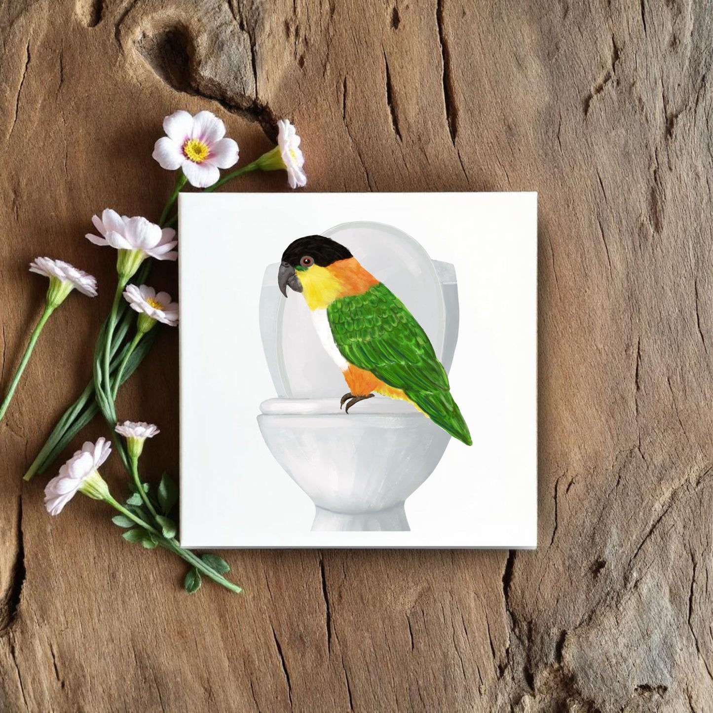 Caique Parrot on Toilet Ceramic Tile – Handcrafted Whimsical Decor - MerikaArt