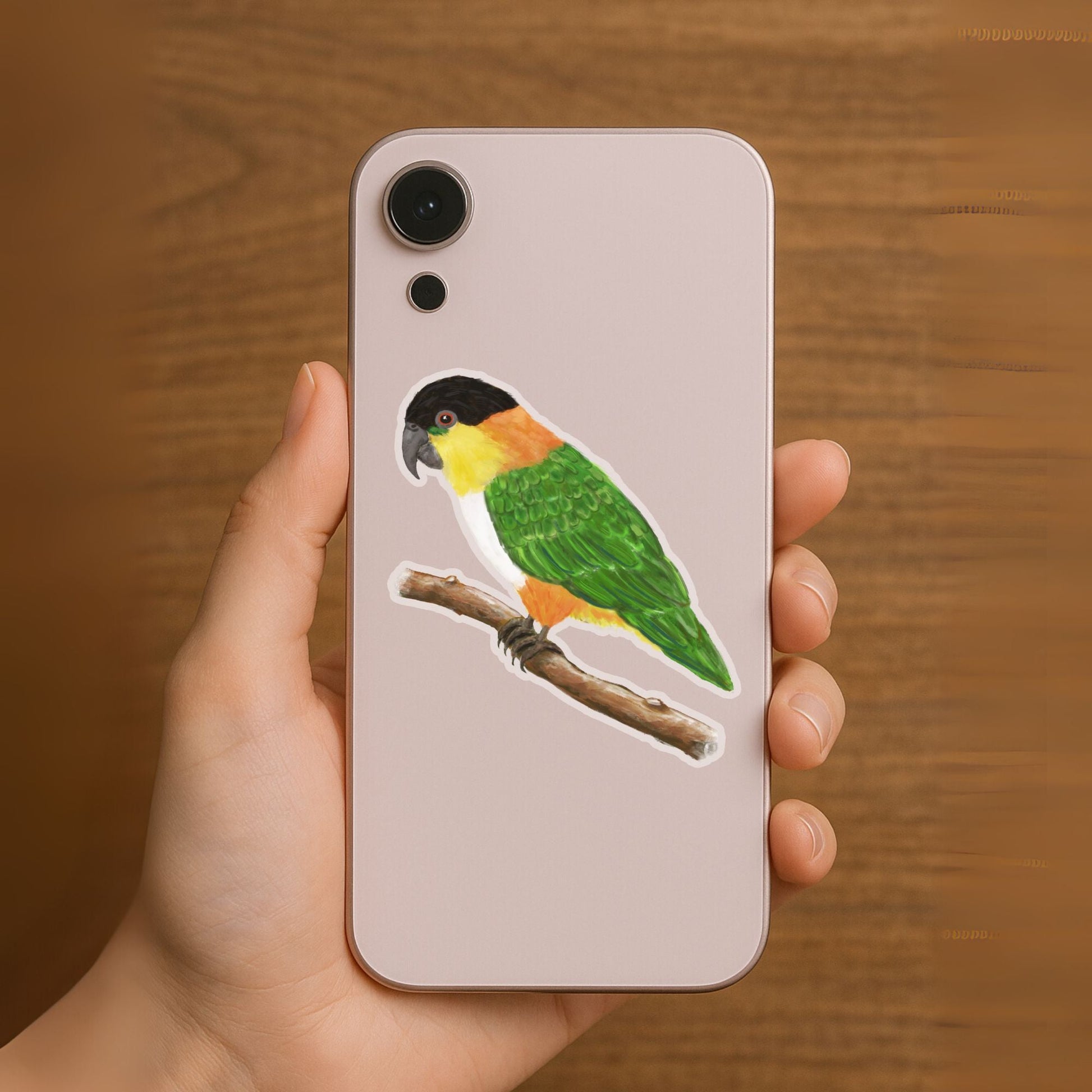 Caique Parrot Sticker - MerikaArt