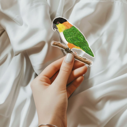 Caique Parrot Sticker - MerikaArt