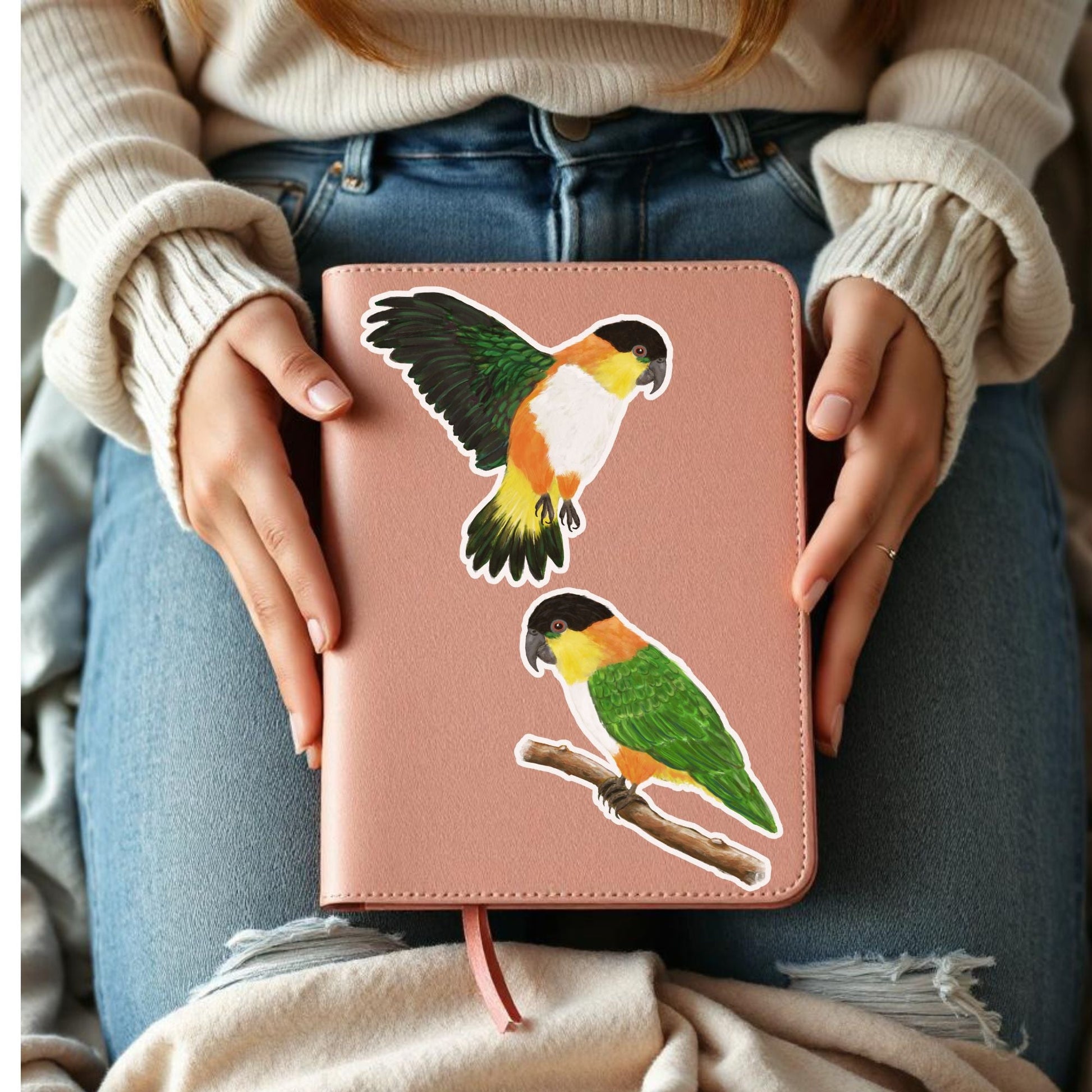 Caique Parrot Sticker - MerikaArt