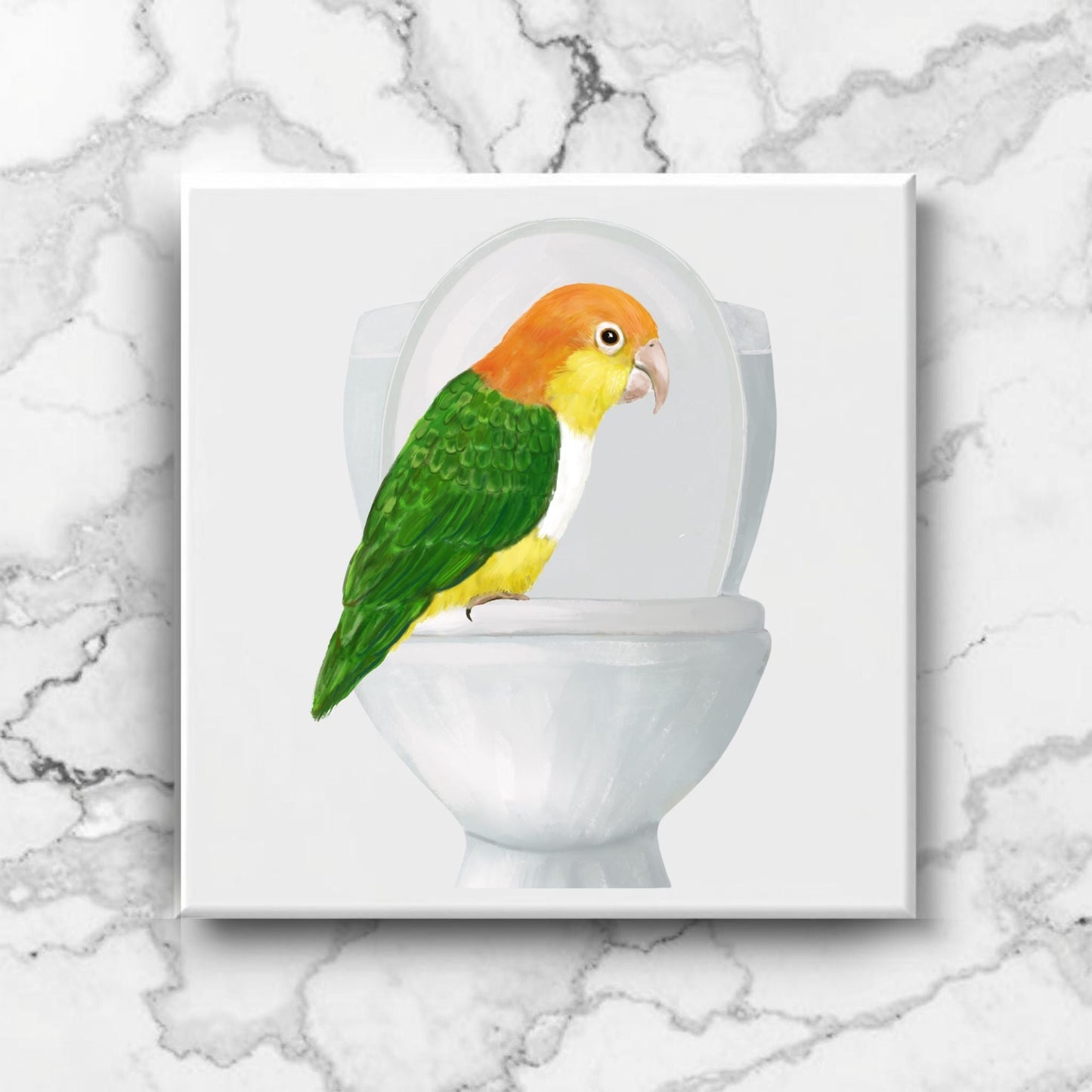 Caique Parrot Toilet Humor Ceramic Tile – Quirky Bird Lover Decor - MerikaArt