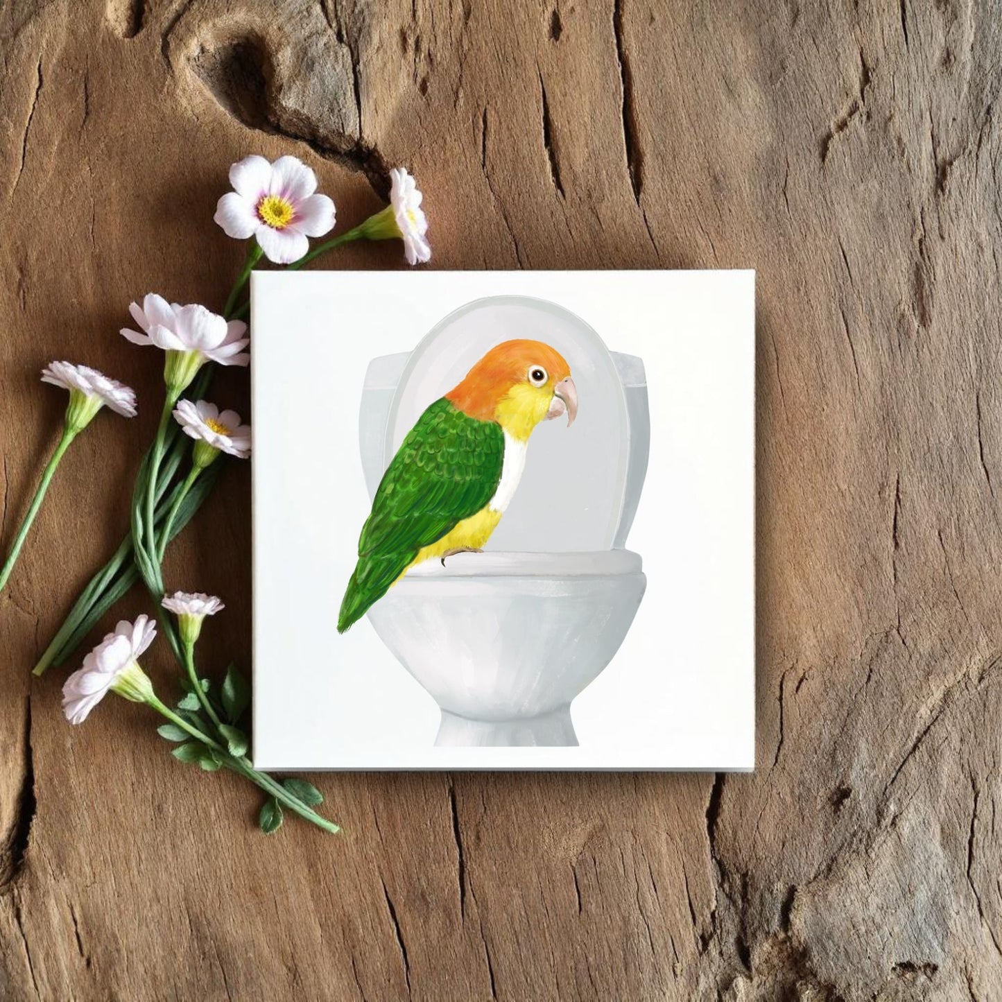 Caique Parrot Toilet Humor Ceramic Tile – Quirky Bird Lover Decor - MerikaArt