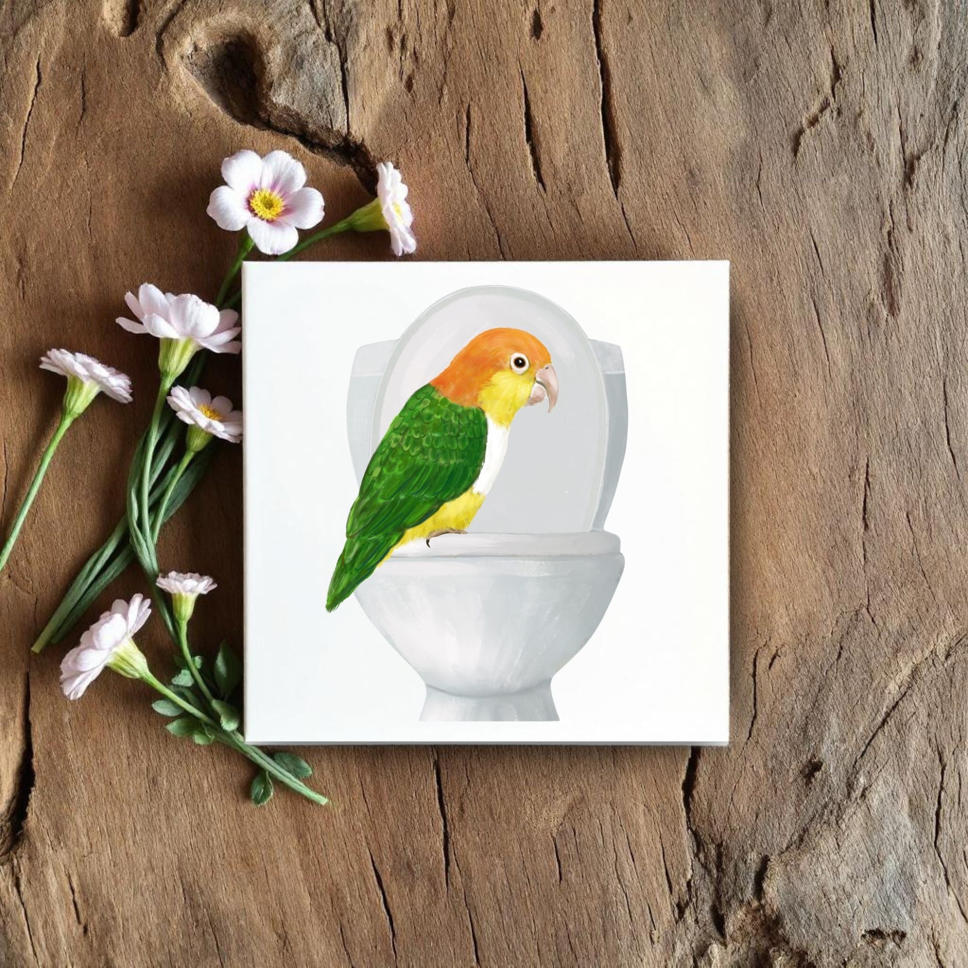 Caique Parrot Toilet Humor Ceramic Tile – Quirky Bird Lover Decor - MerikaArt