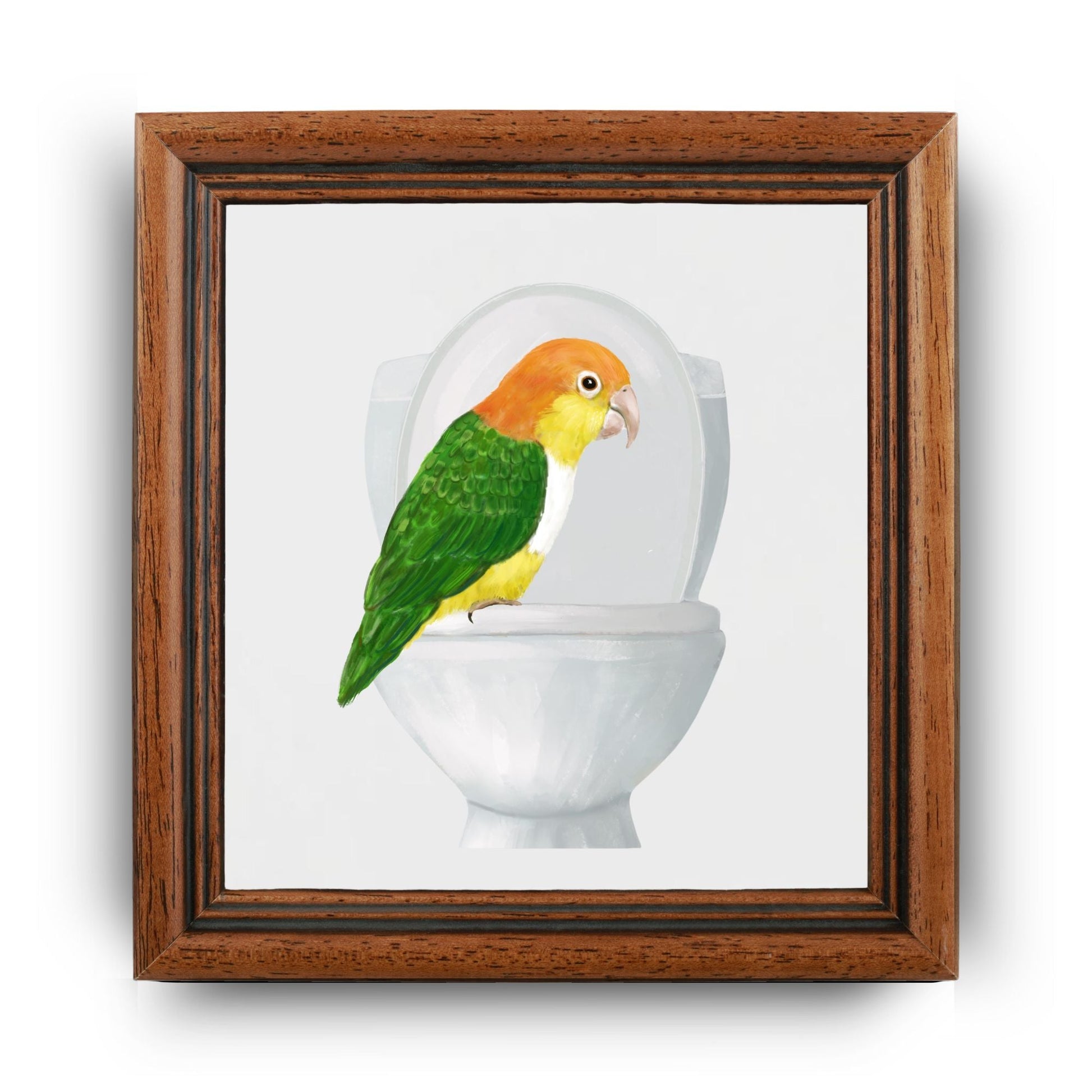 Caique Parrot Toilet Humor Ceramic Tile – Quirky Bird Lover Decor - MerikaArt