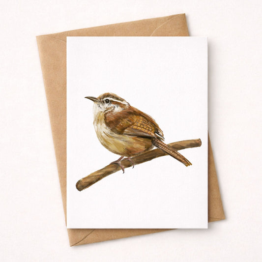 Carolina Wren Postcard - MerikaArt