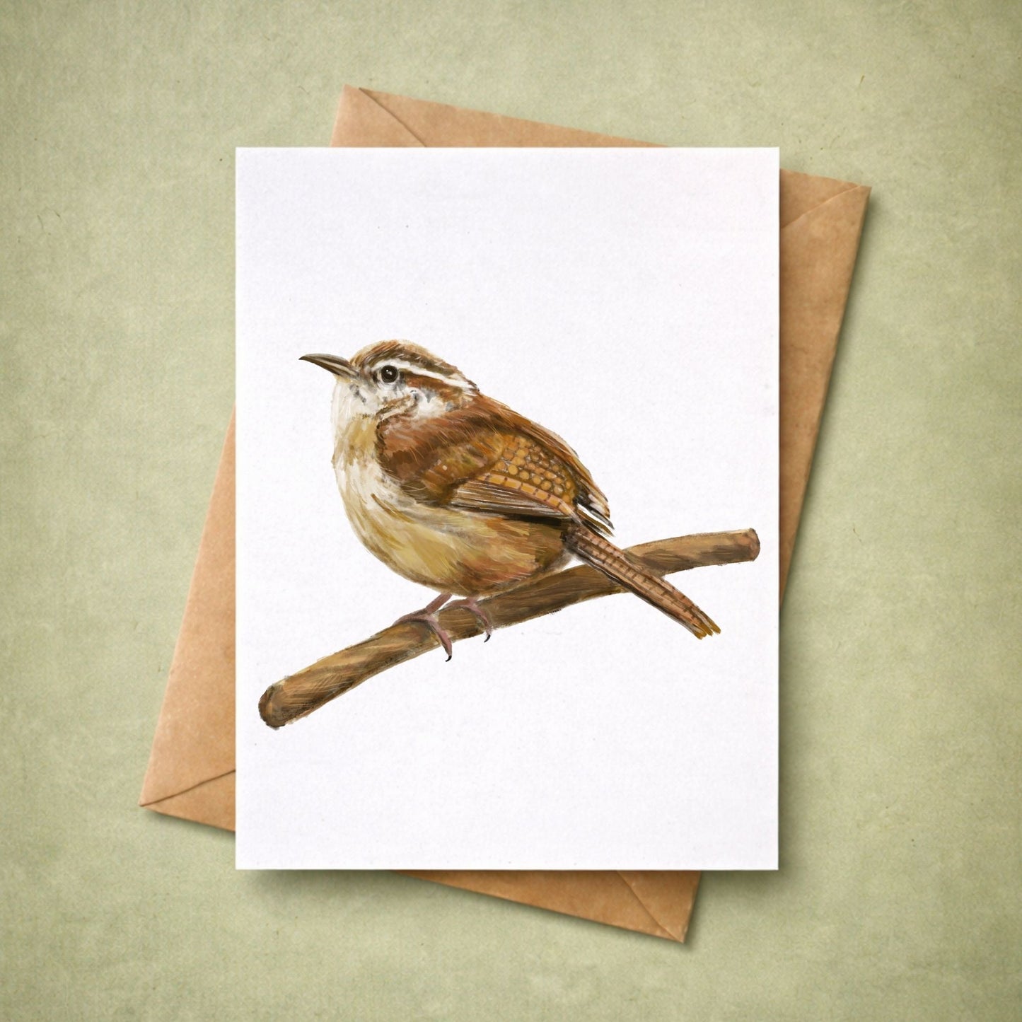 Carolina Wren Postcard - MerikaArt