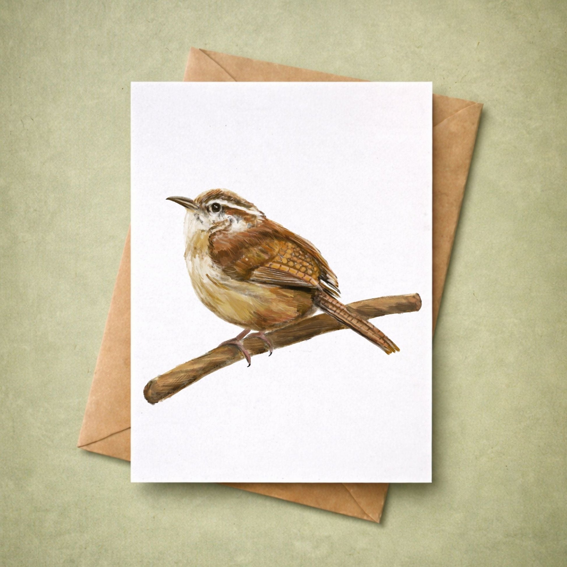 Carolina Wren Postcard - MerikaArt