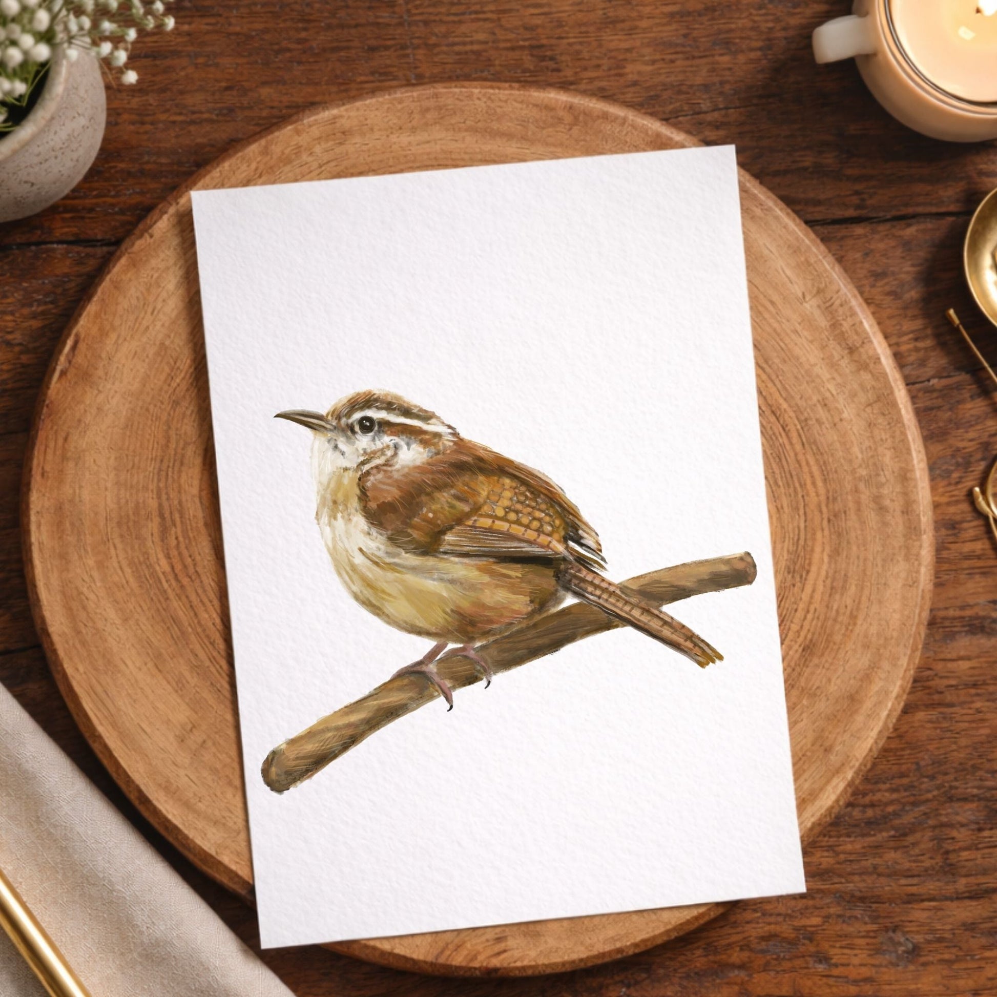 Carolina Wren Postcard - MerikaArt