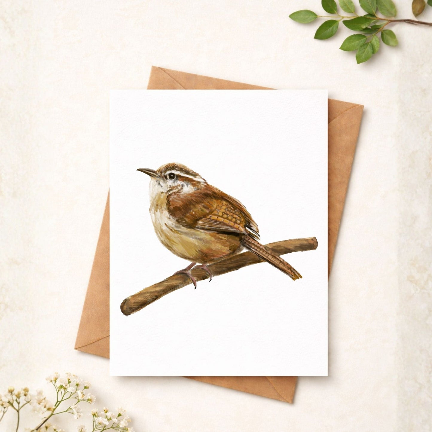 Carolina Wren Postcard - MerikaArt