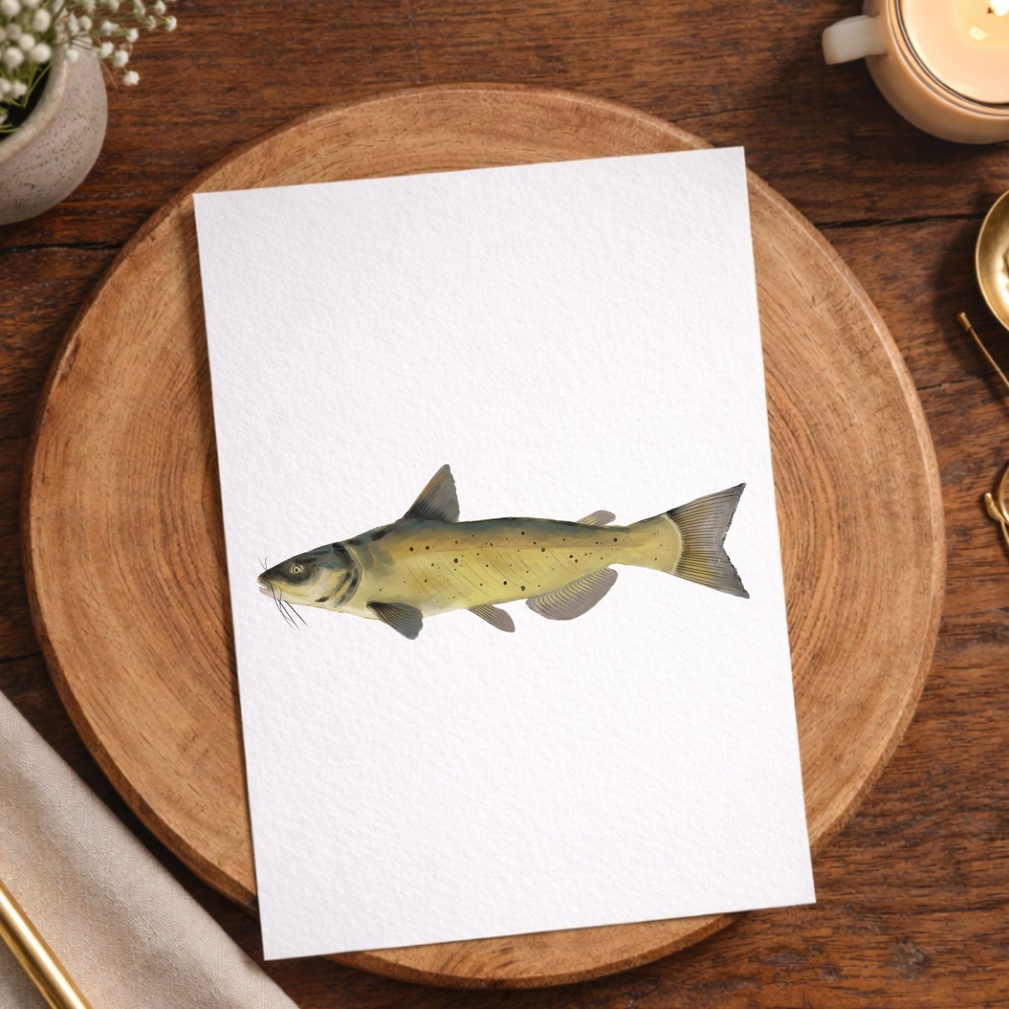 Catfish Postcard - MerikaArt