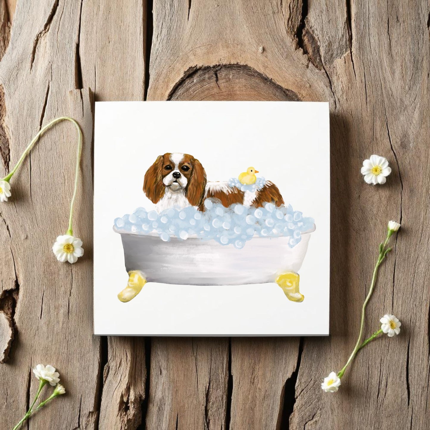 Cavalier King Charles Spaniel Ceramic Tile - MerikaArt