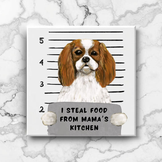 Cavalier King Charles Spaniel Mugshot Tile - MerikaArt