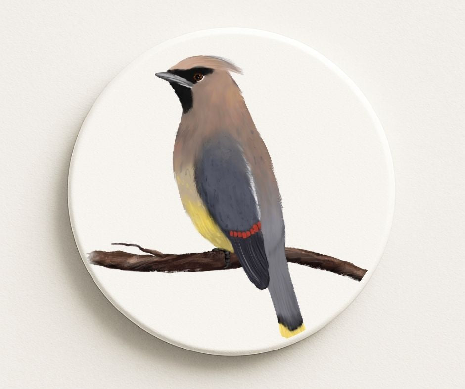 Cedar Waxwing Ceramic Coaster - MerikaArt